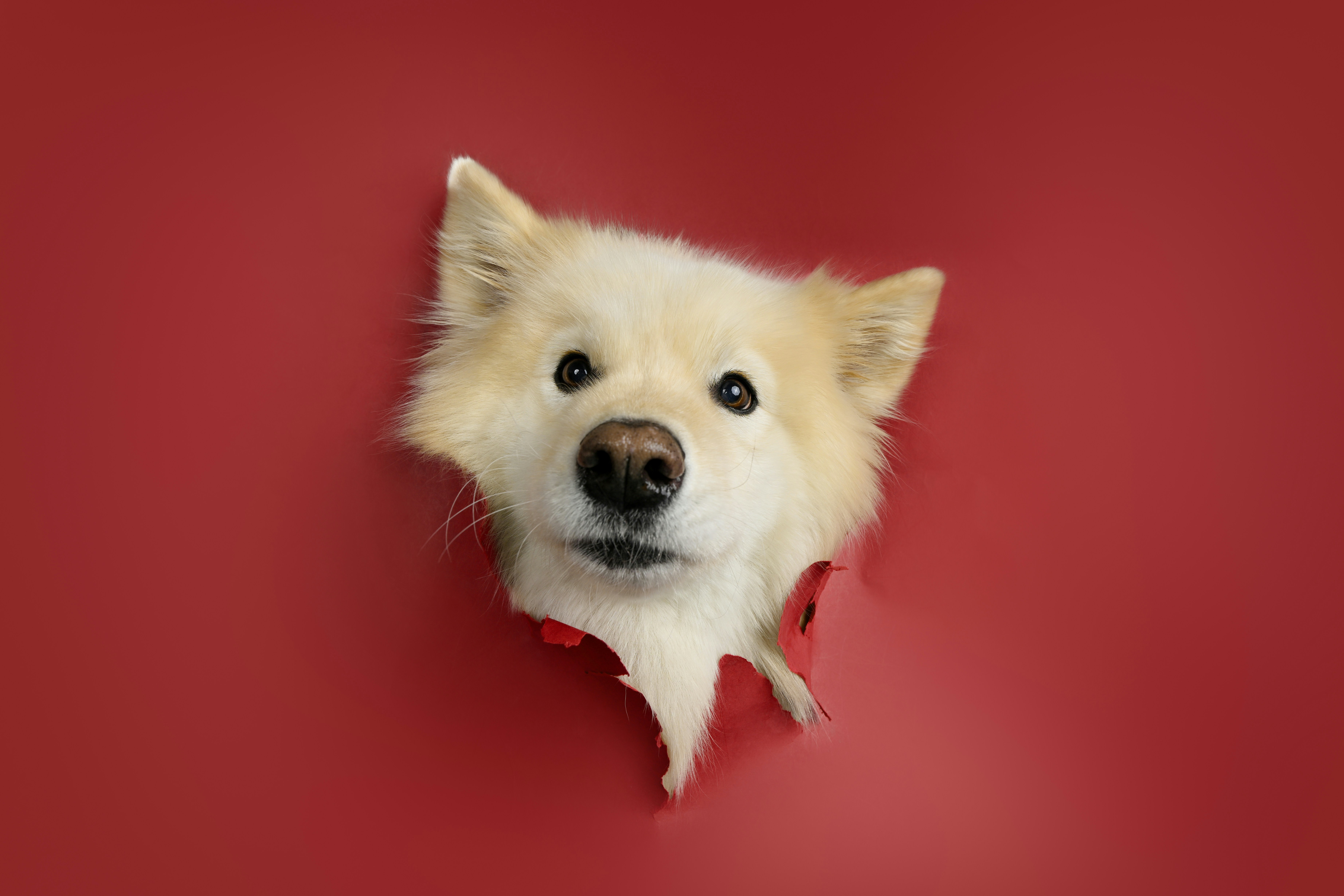 Photo by serenaontheway