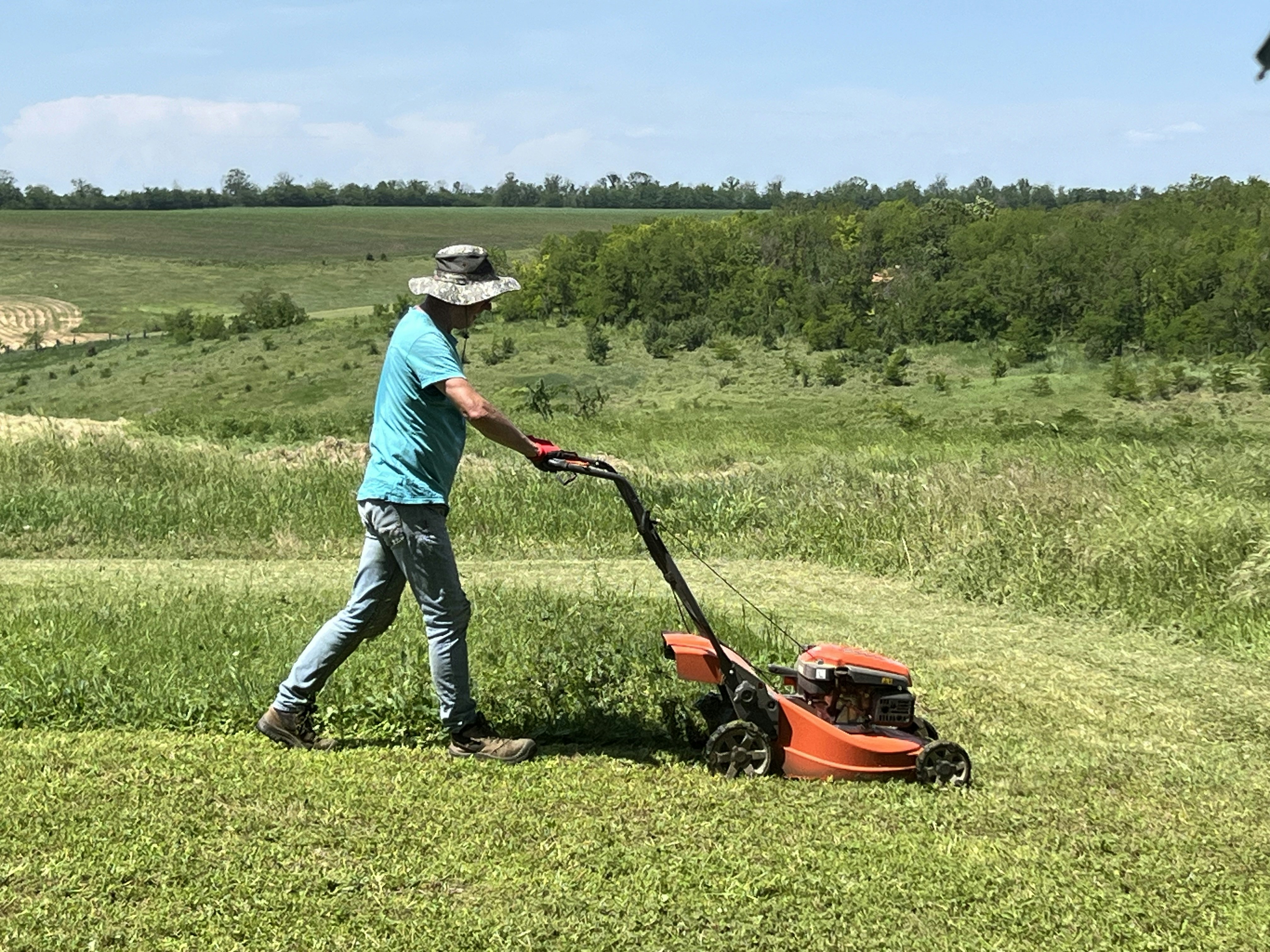 Red lawn mower cutting bright green grass in residential backyard, clean cut lines, sunny day, dark machine contrast