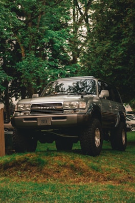 a truck parked in the grass next to a tree