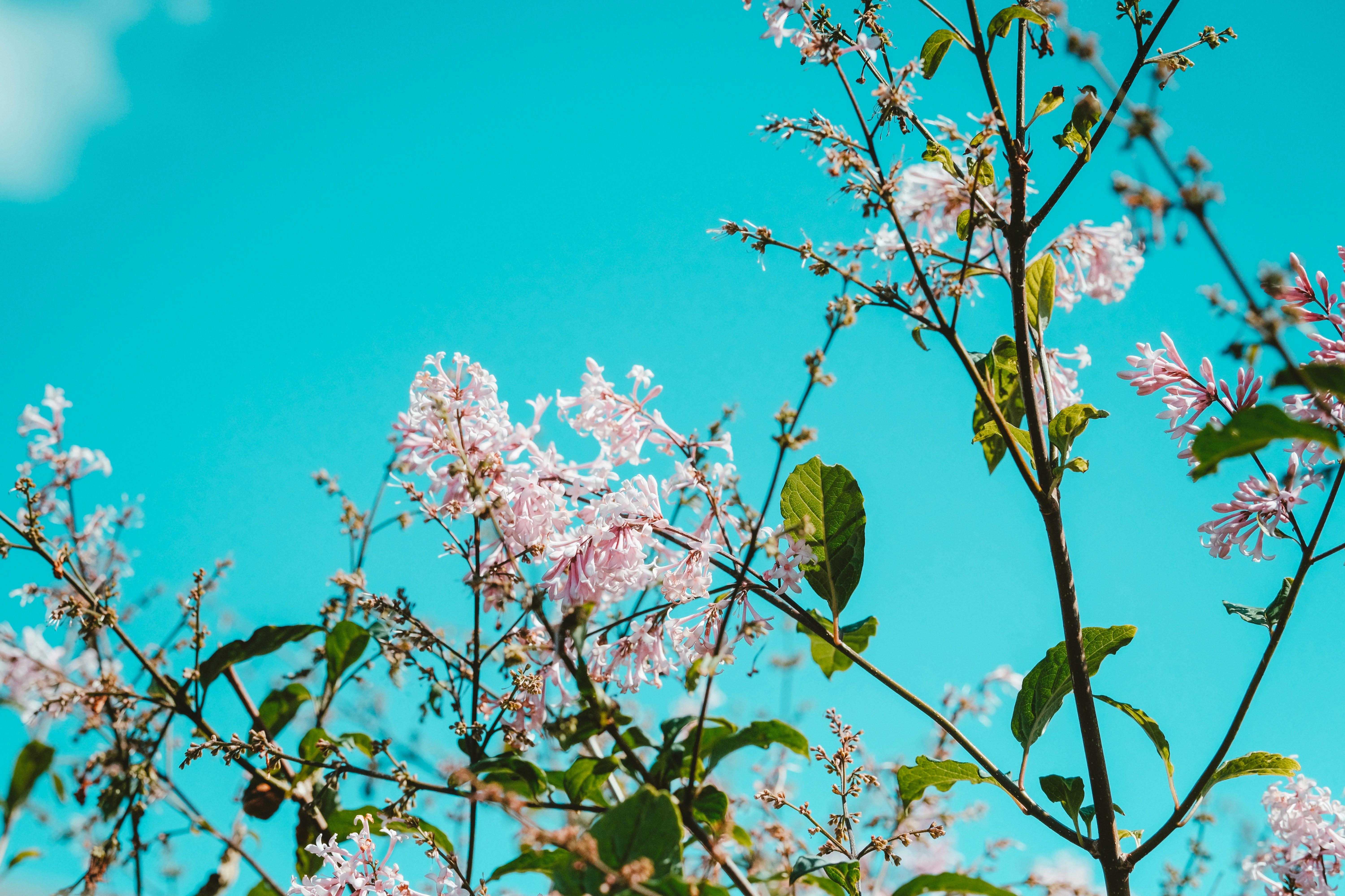 Photo by helloimnik