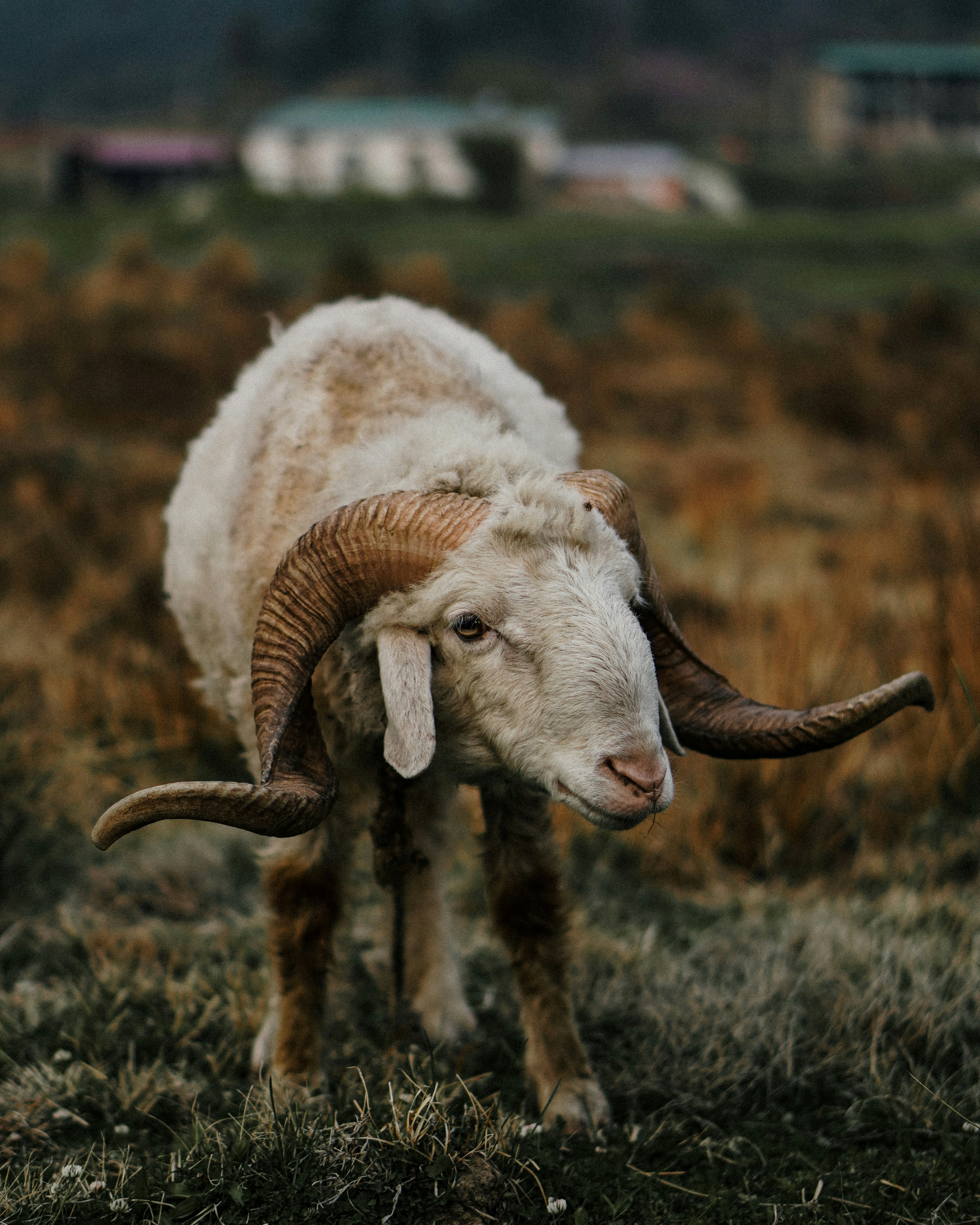 Photo by harshadkumbhare