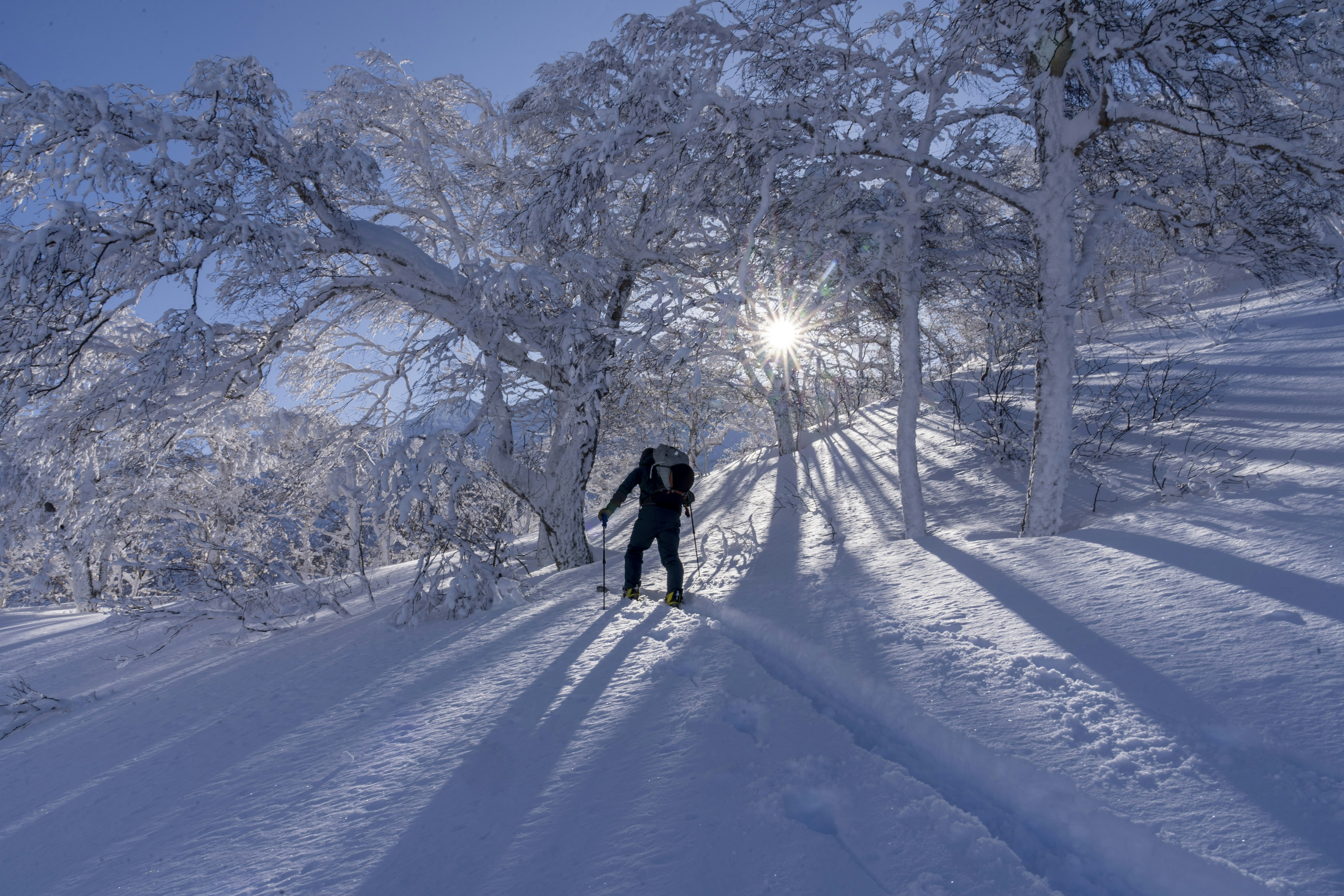 No Skis? Accessible Winter Outdoor Hobbies in Japan Explained