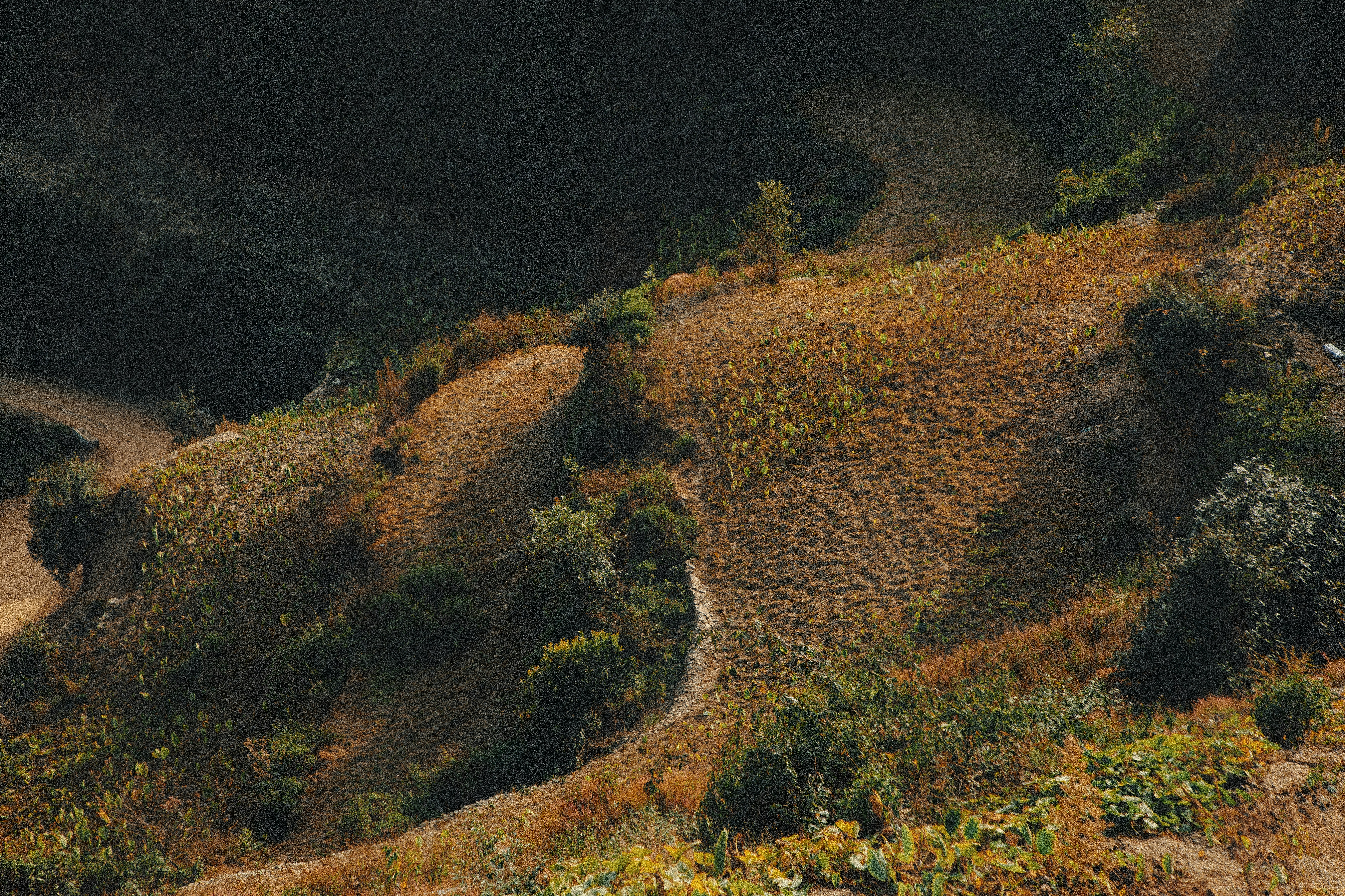 Photo by insidemyframe