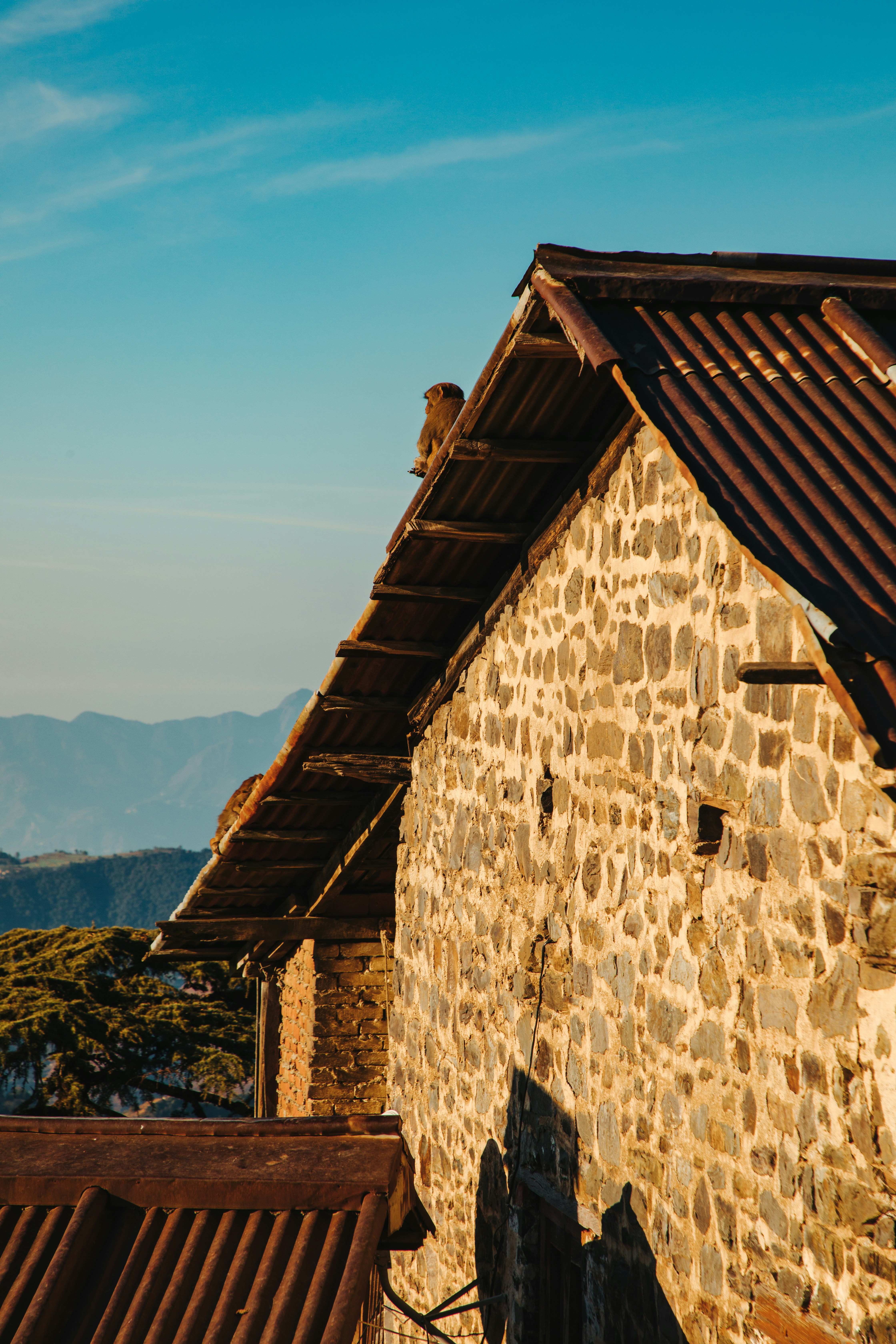 Photo by insidemyframe