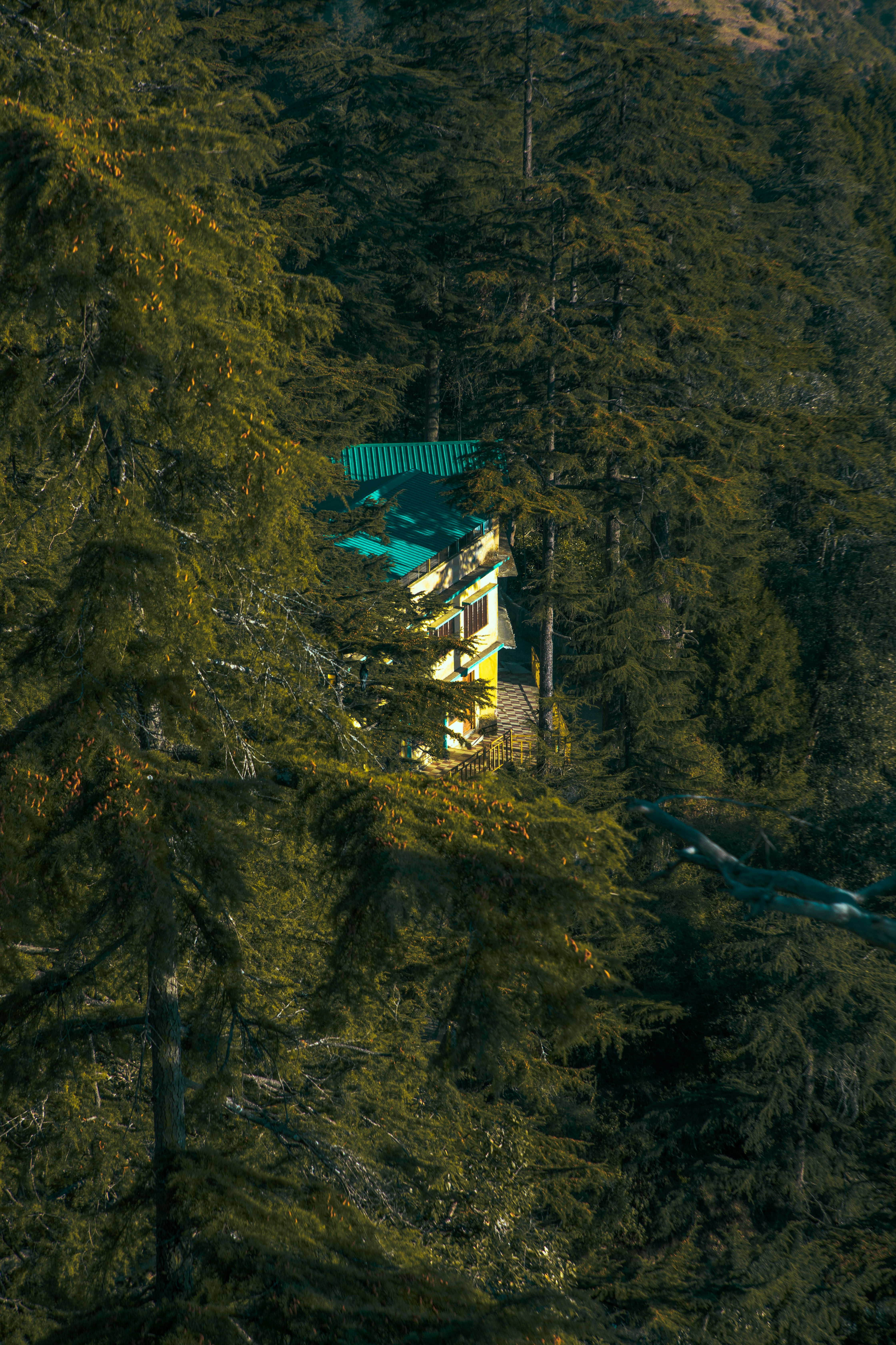 Photo by insidemyframe