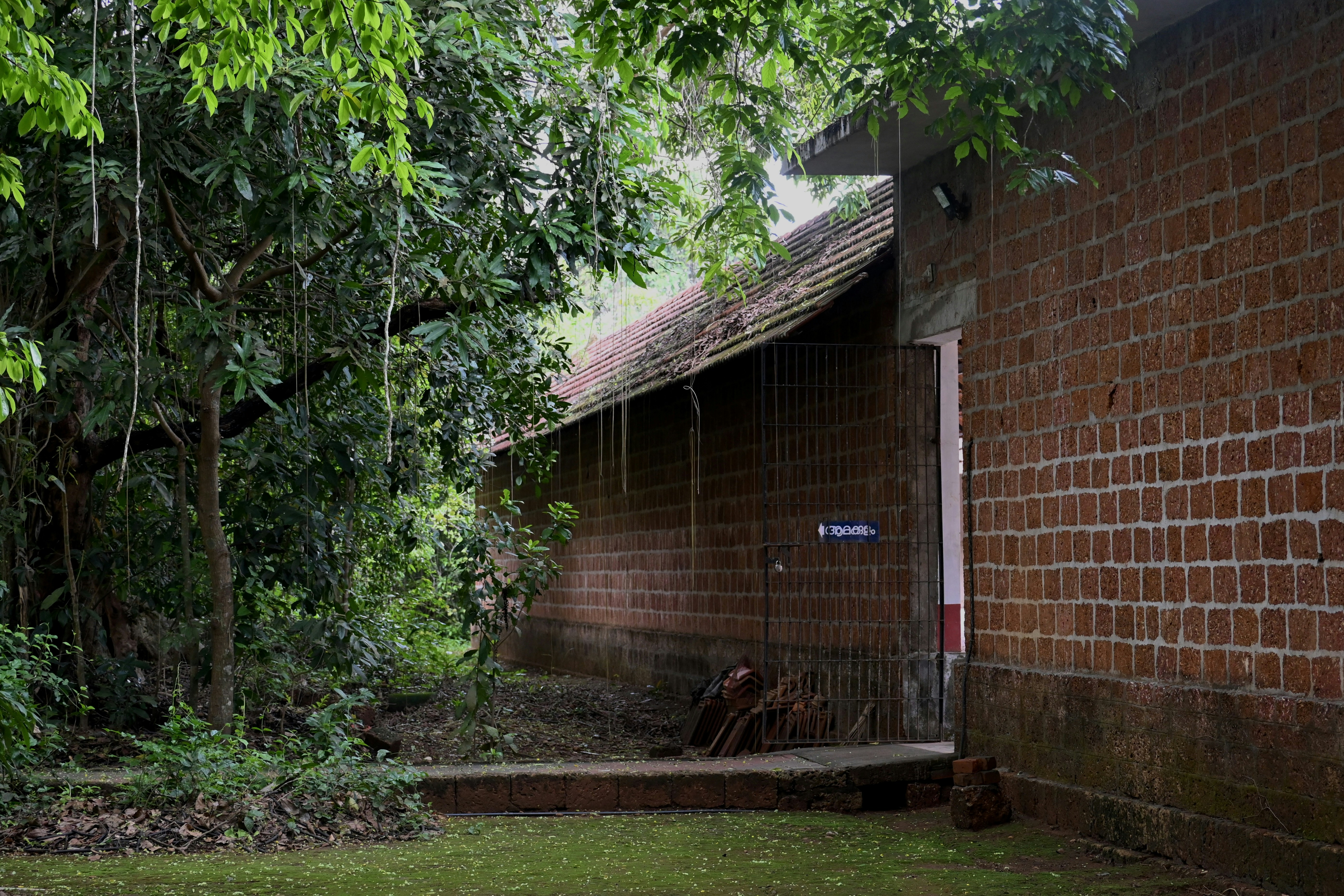 Kerala temple groves