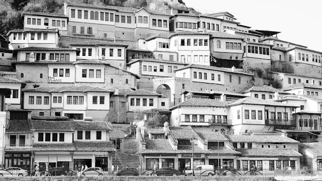 a black and white photo of a large group of houses