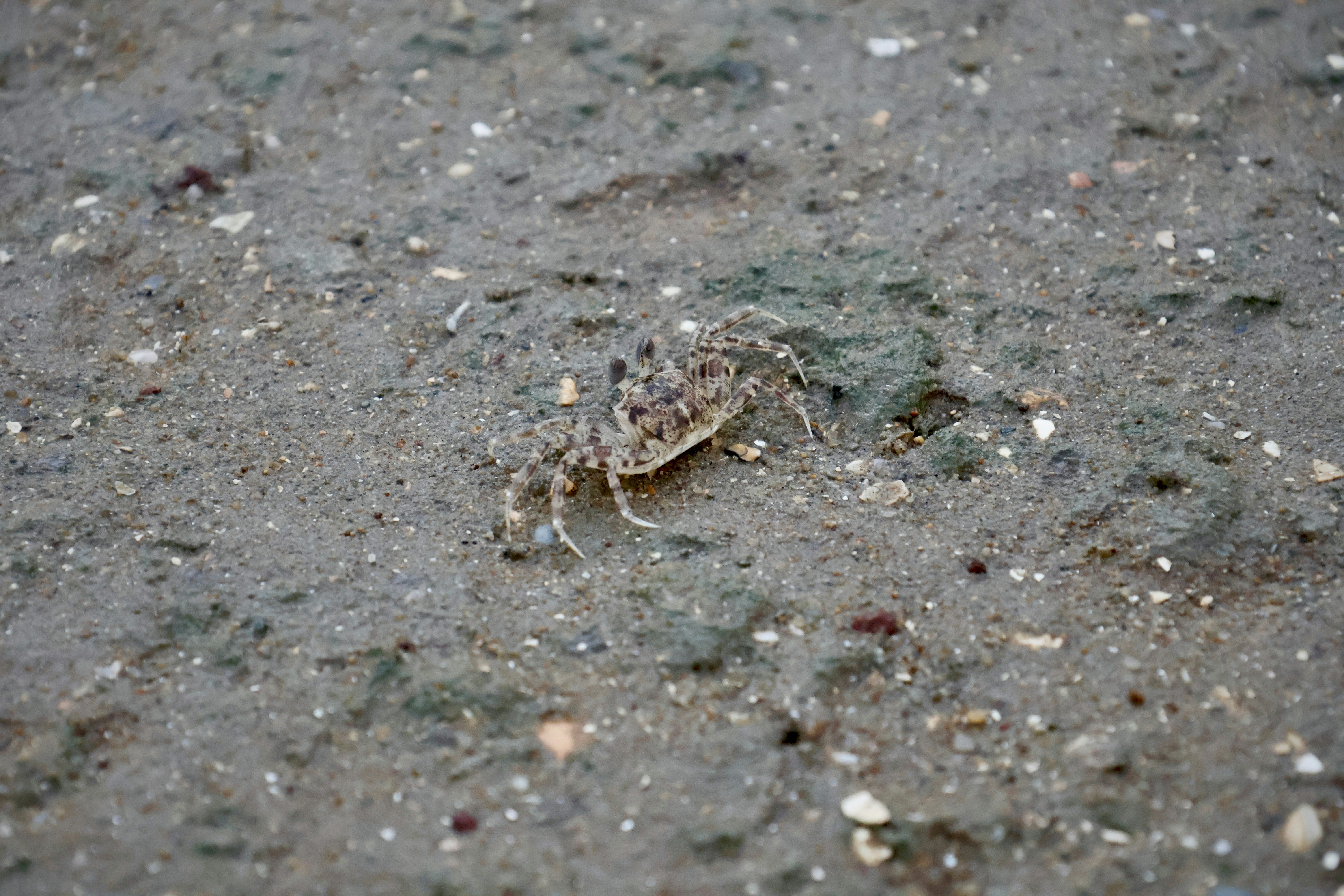 Behavioral Manipulation: The Perfect Puppet Show (image credits: unsplash)