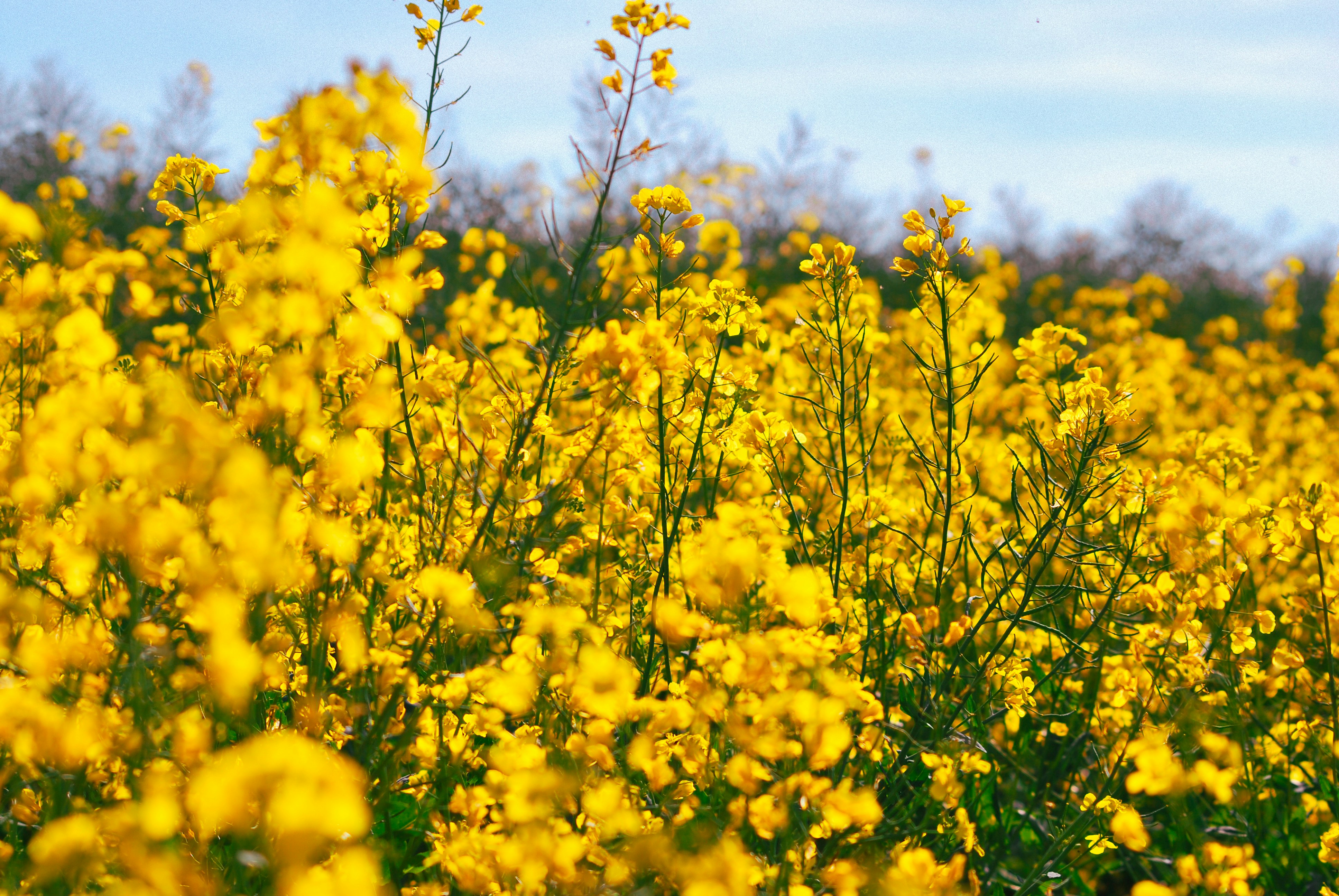 Photo by humansmadethis