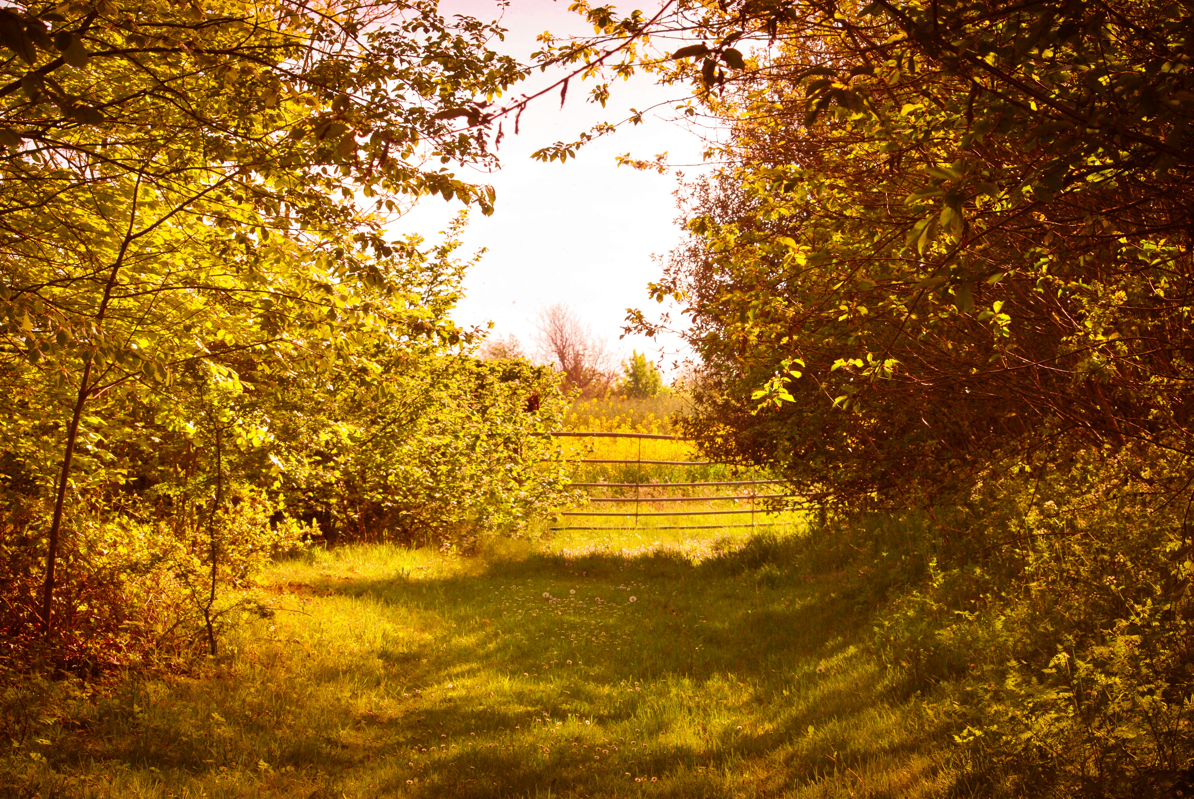 Photo by humansmadethis