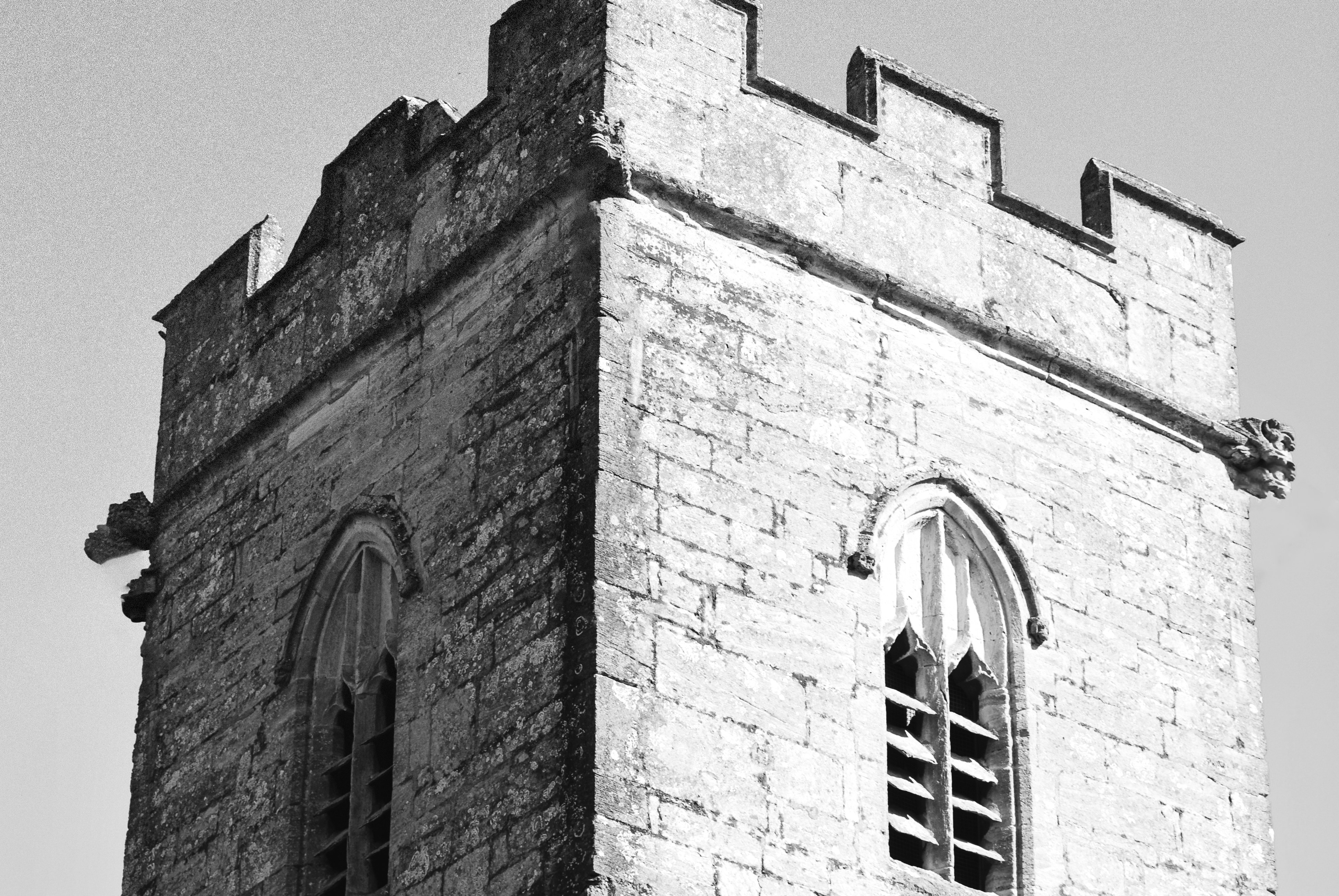 Photo by humansmadethis