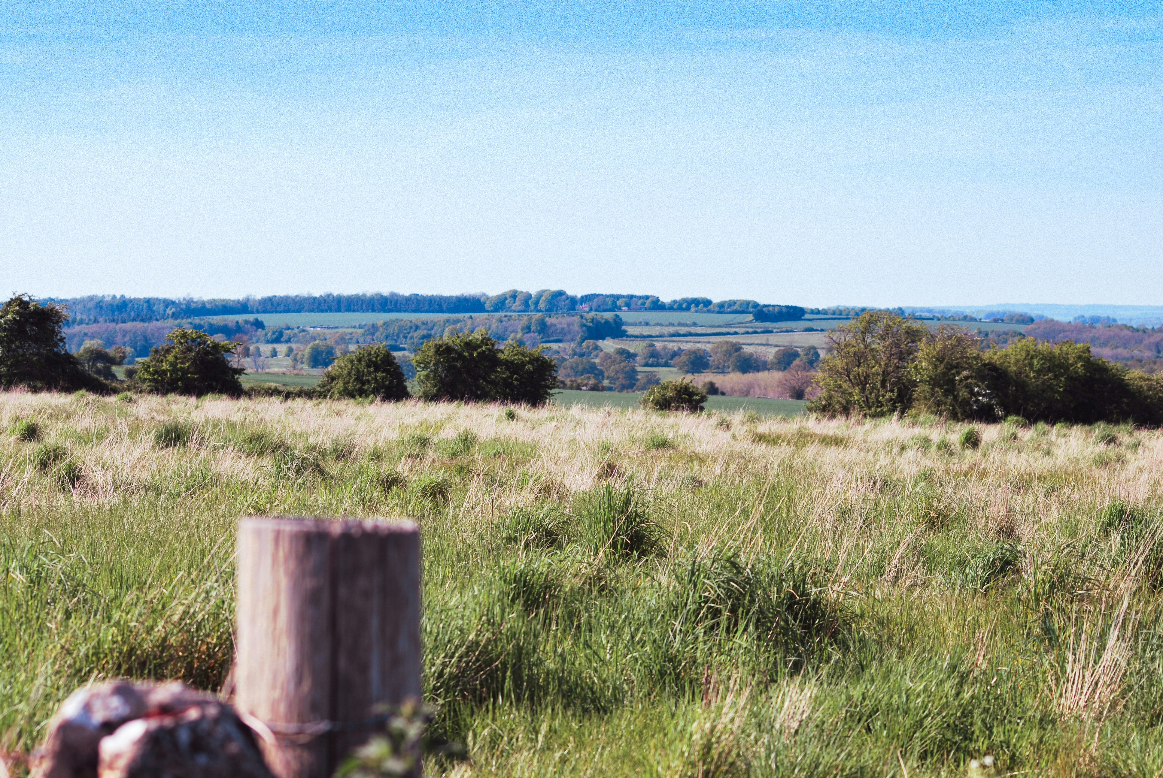 Photo by humansmadethis