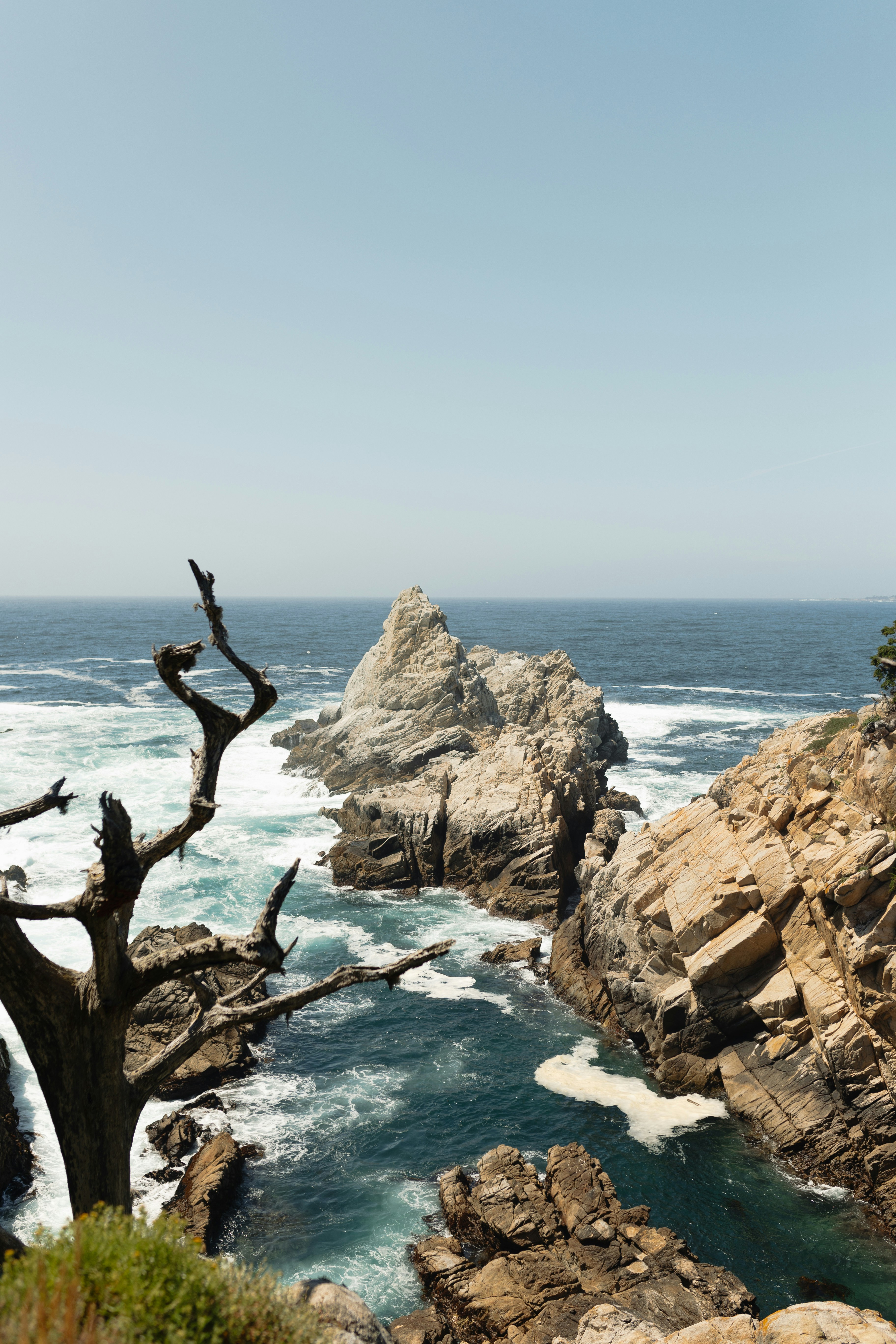 a tree that is sitting on the rocks by the water