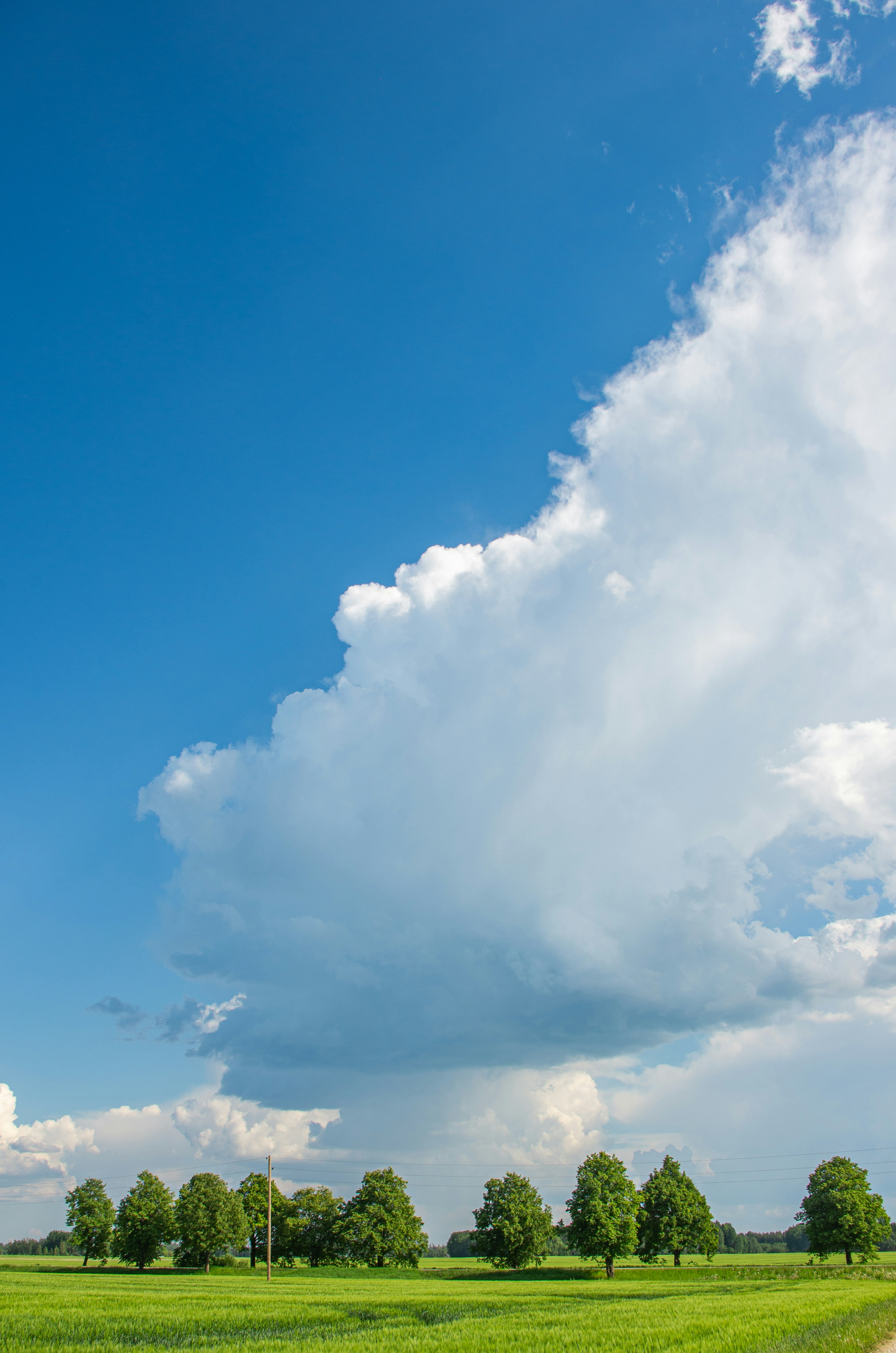 Photo by inga_images