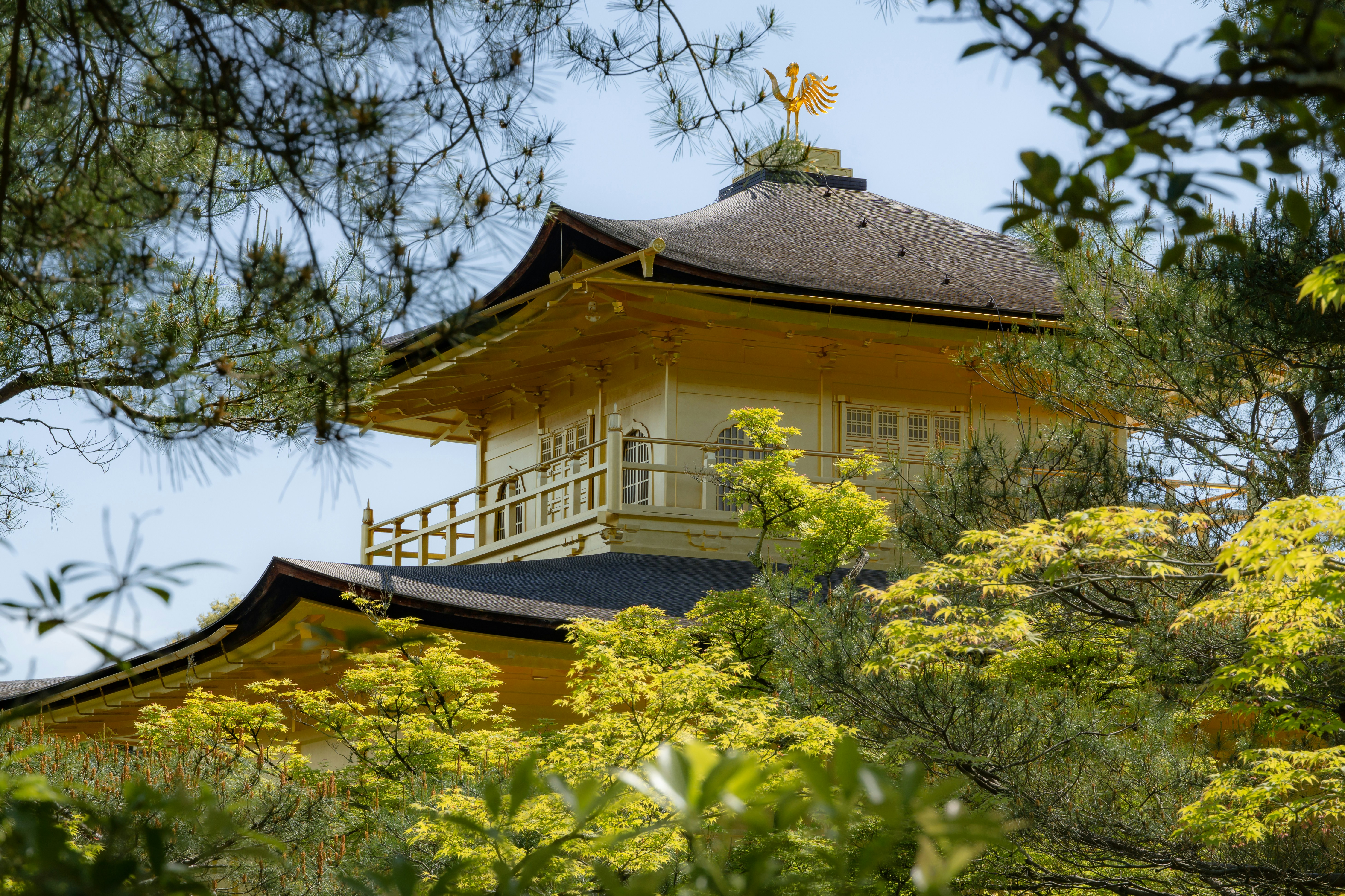 a tall yellow building sitting on top of a lush green forest