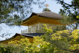 a tall yellow building sitting on top of a lush green forest