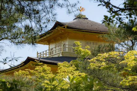 a tall yellow building sitting on top of a lush green forest