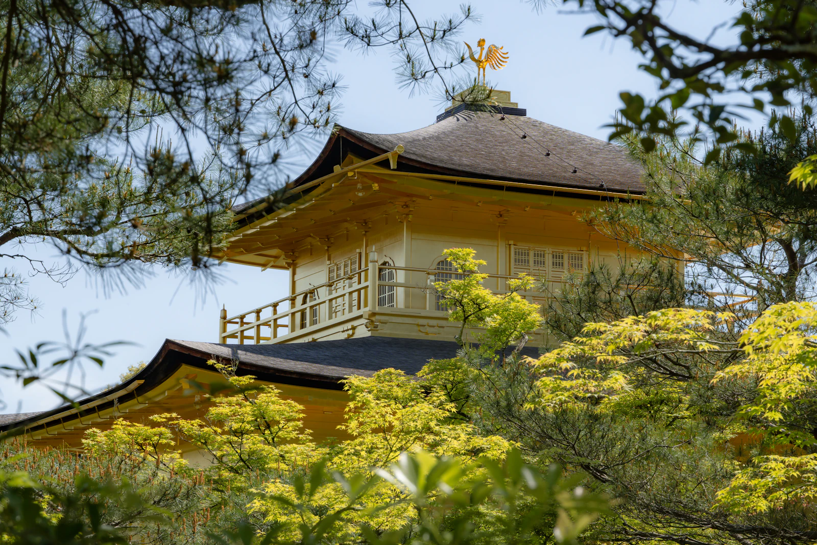 Japan family holiday