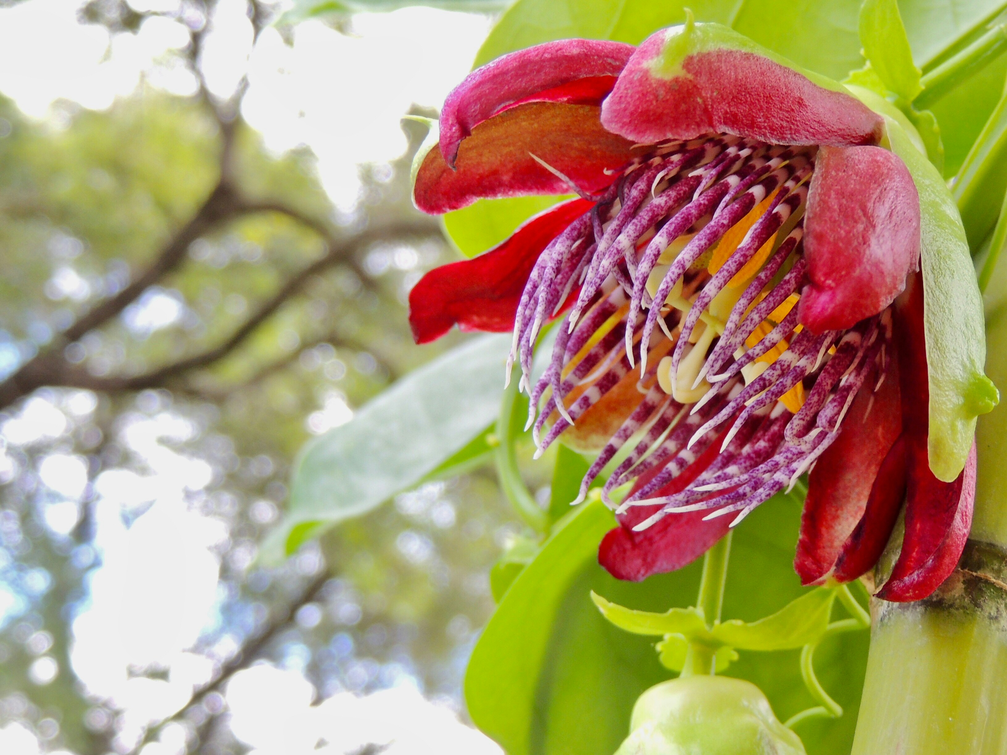 photo-1717061696861-1dc09cce7ff1?ixid=M3