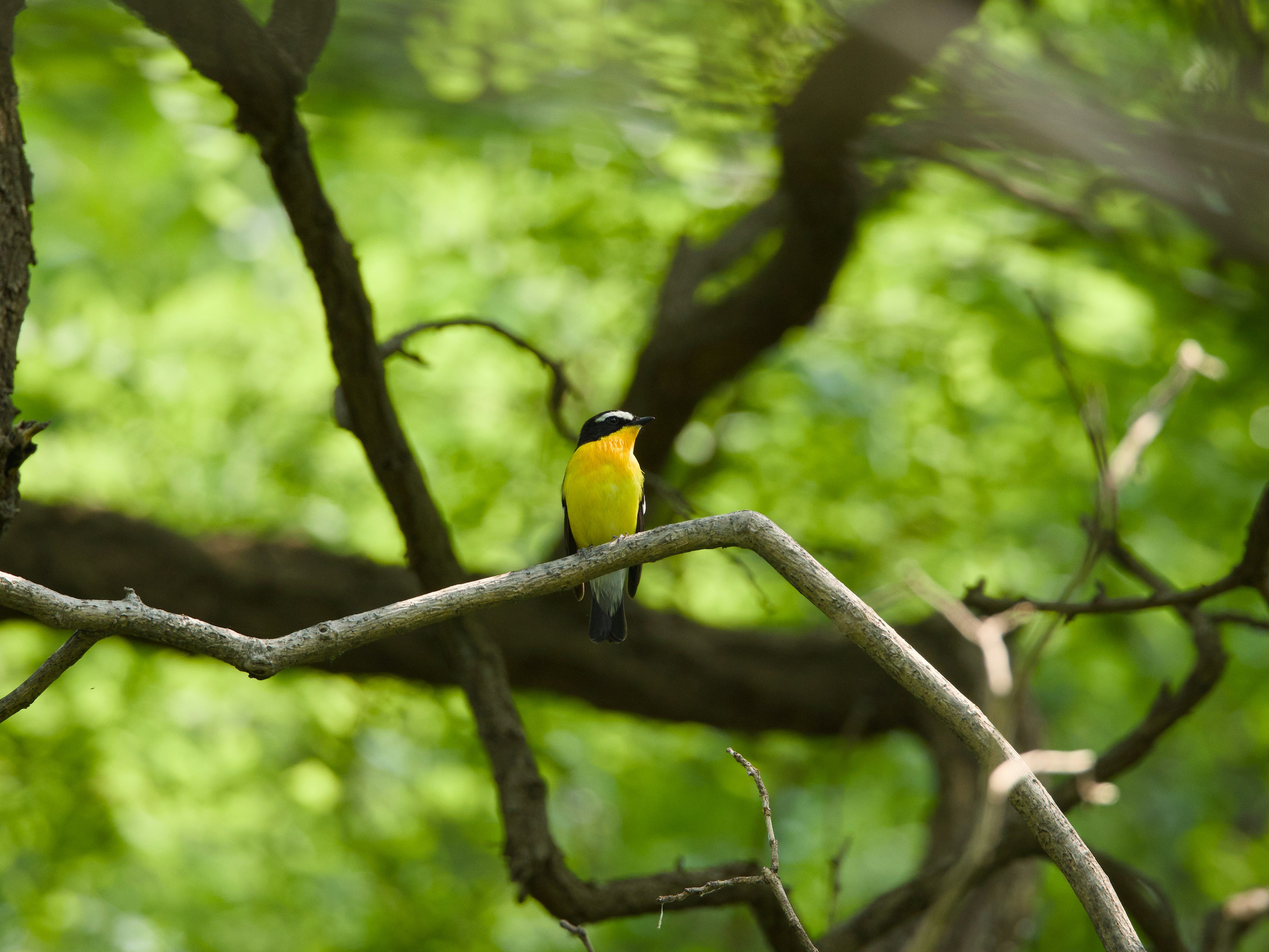 Photo by winefinderac