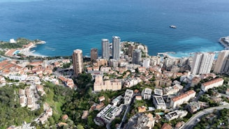 an aerial view of a city next to the ocean