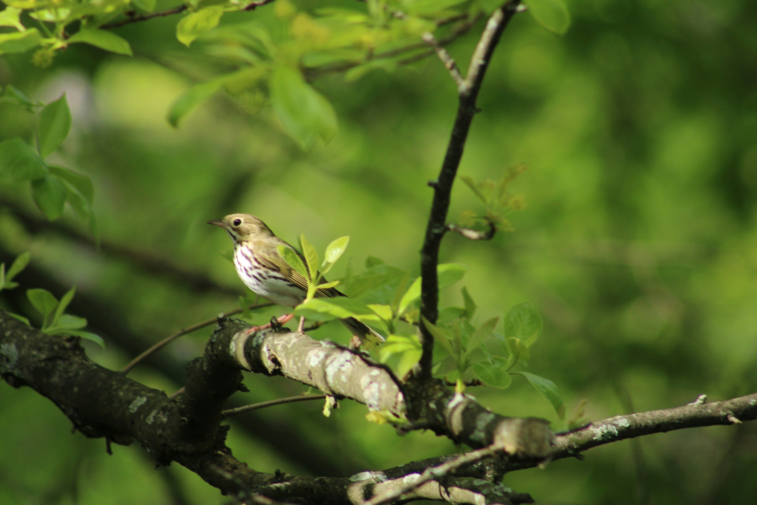 Photo by lisa_duqlaw