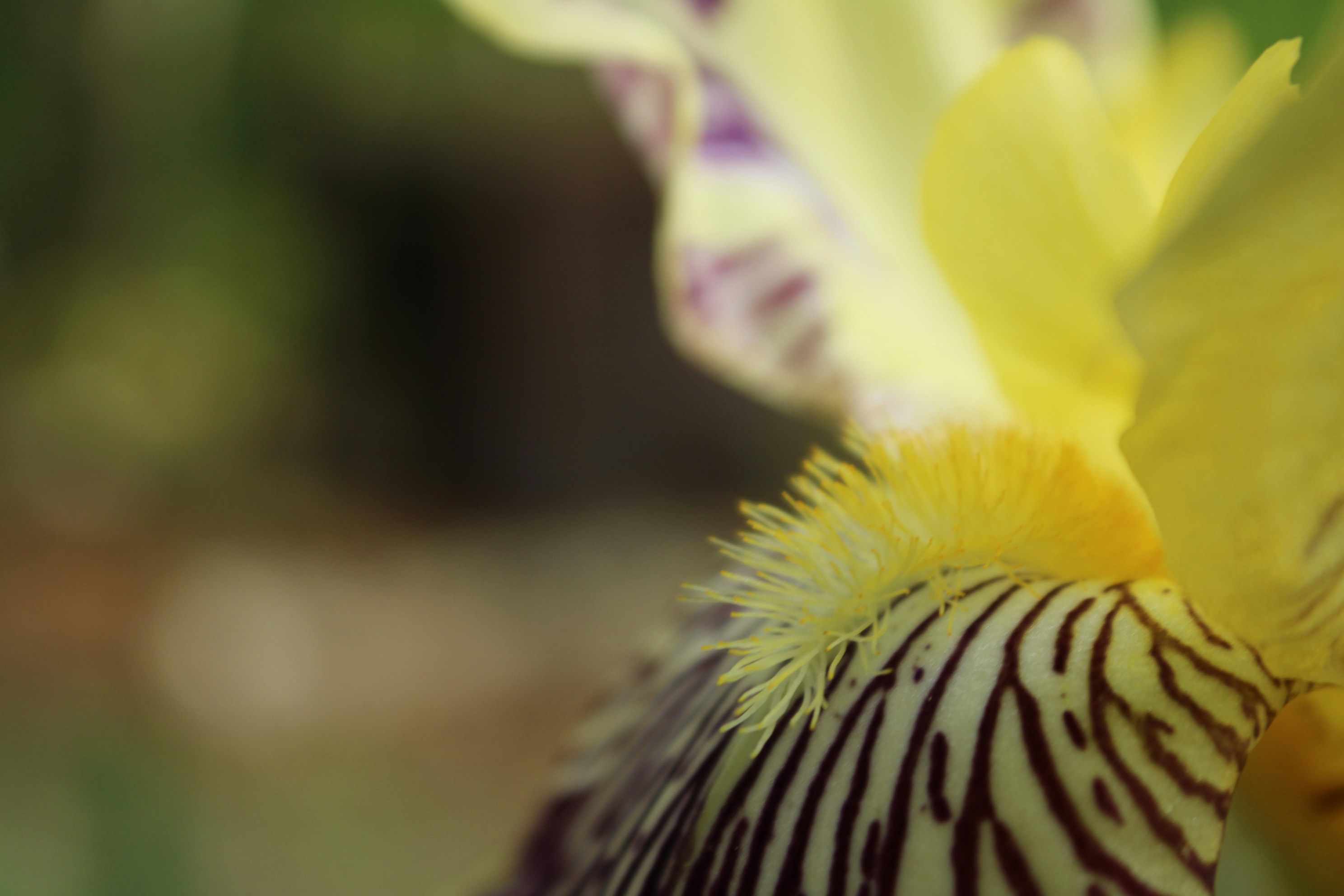 Photo by lisa_duqlaw