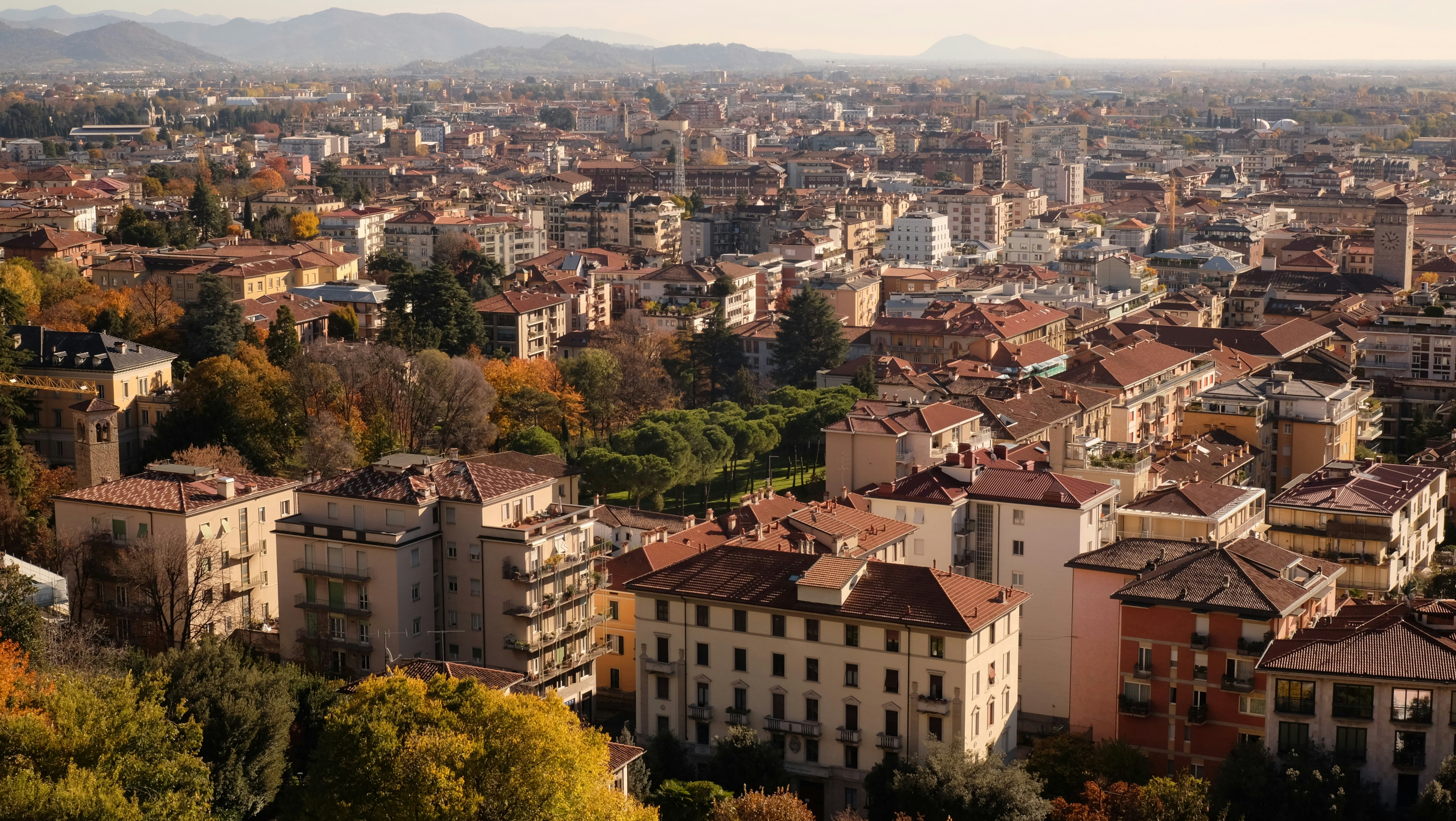 a city with lots of tall buildings and lots of trees