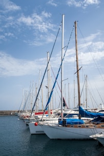 a group of sailboats docked in a harbor