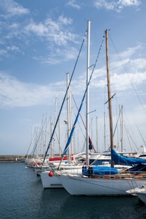 a group of sailboats docked in a harbor