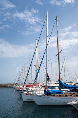 a group of sailboats docked in a harbor