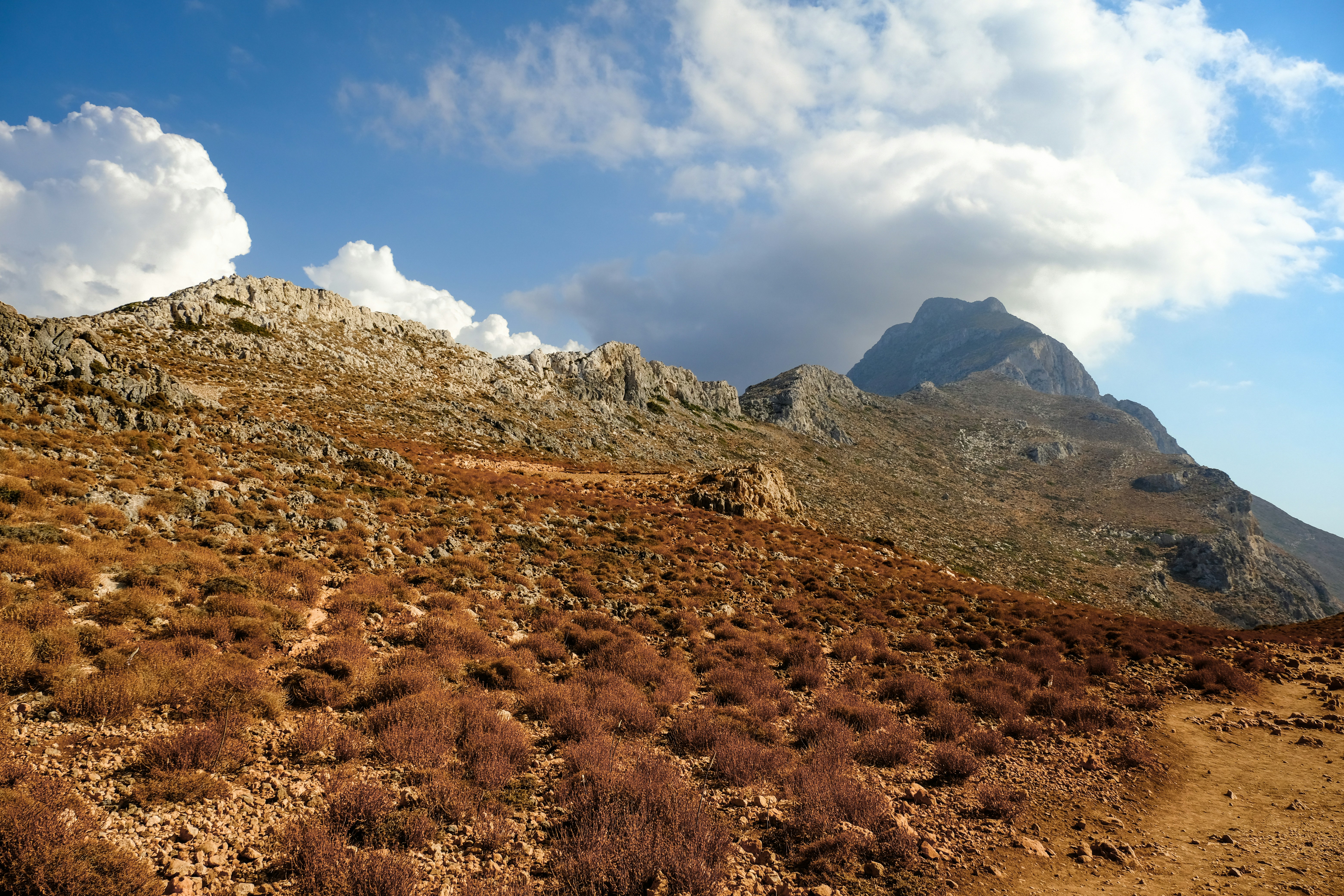 Photo by francesco_ungaro