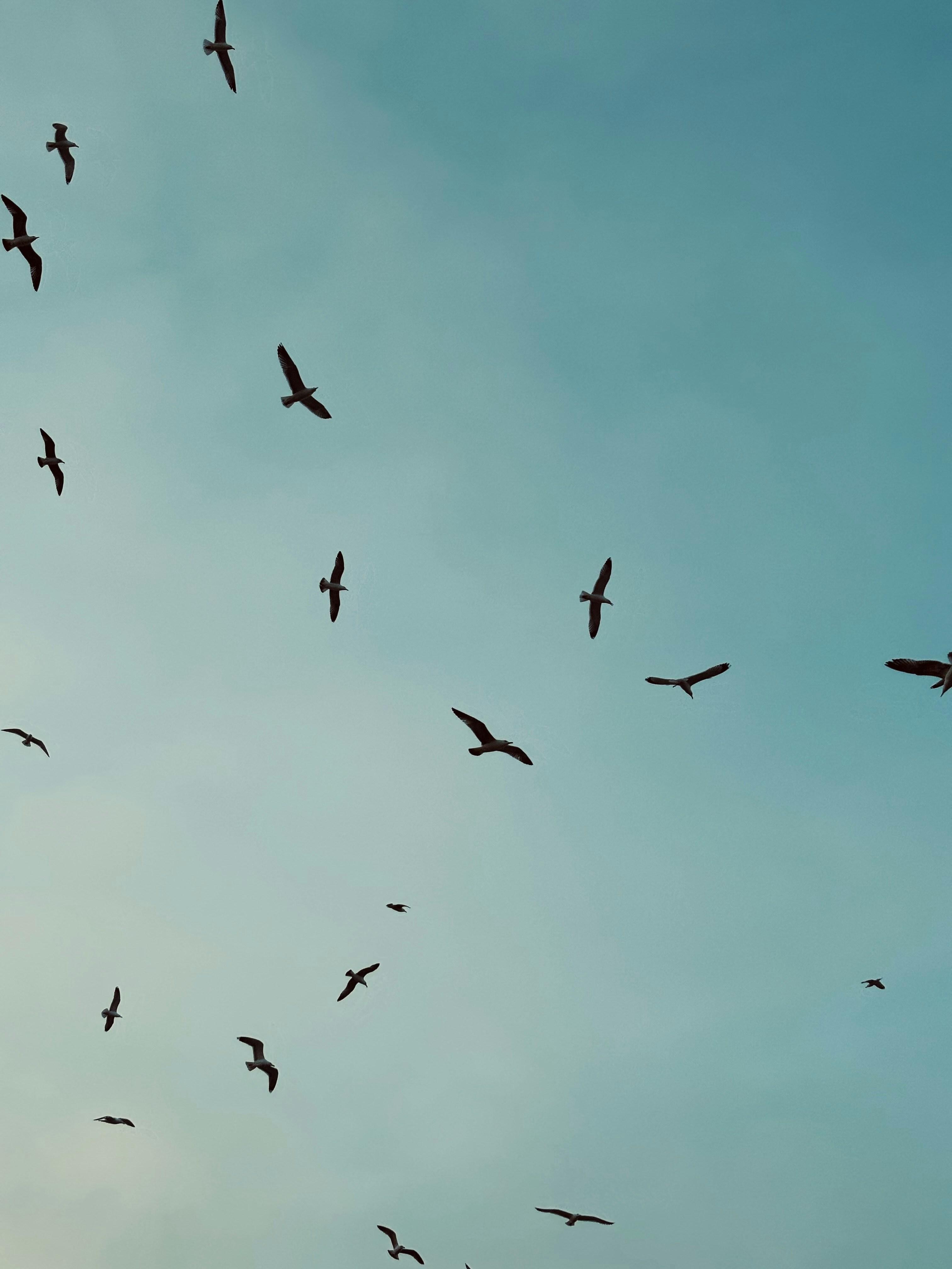 Photo by alexandraandrone