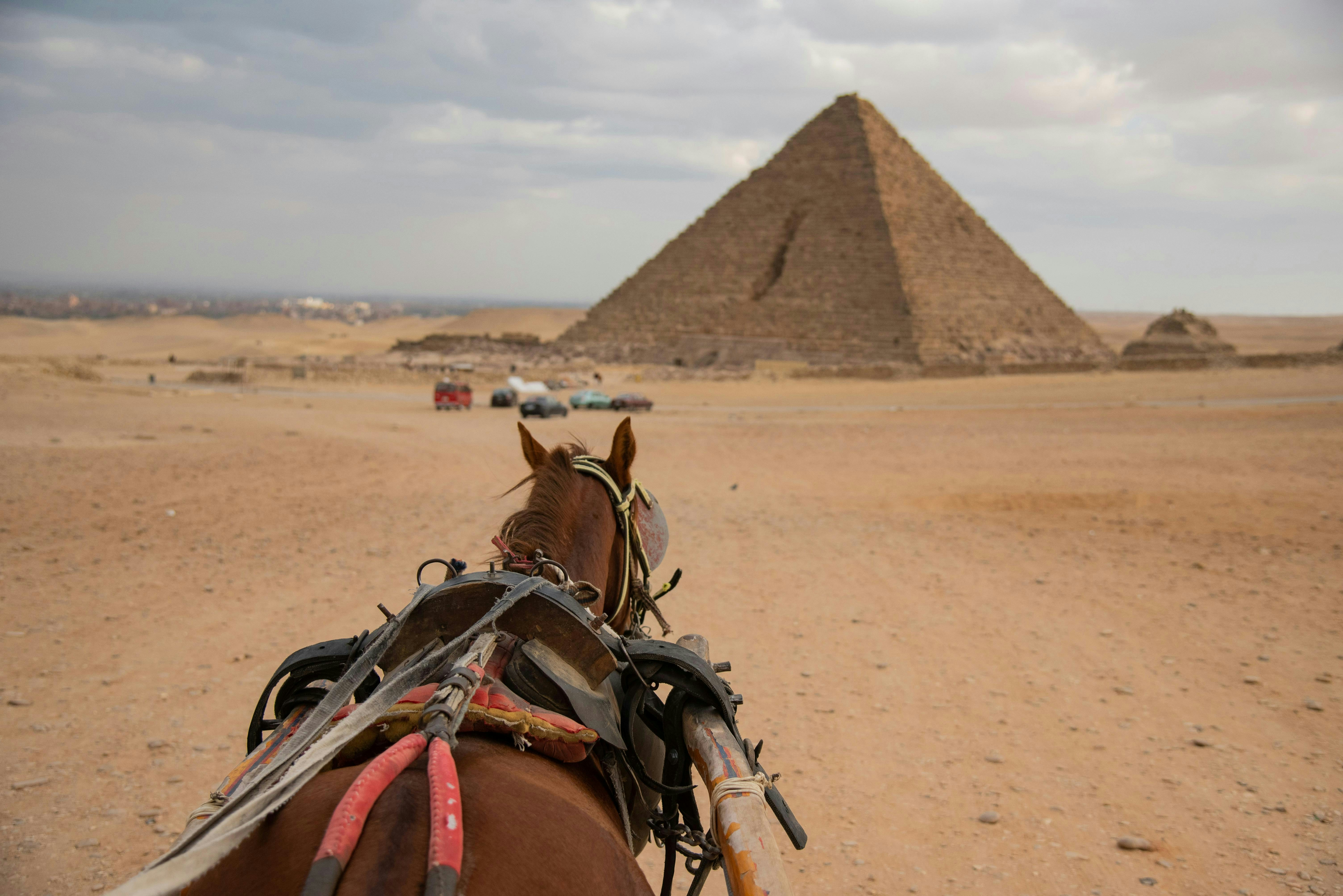a horse with a saddle standing in front of a pyramid