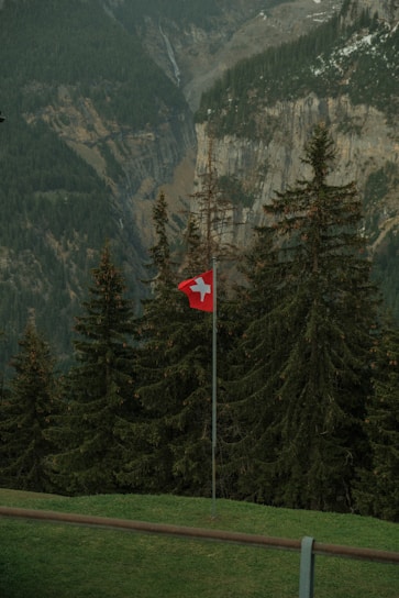 a flag on a pole in front of a mountain