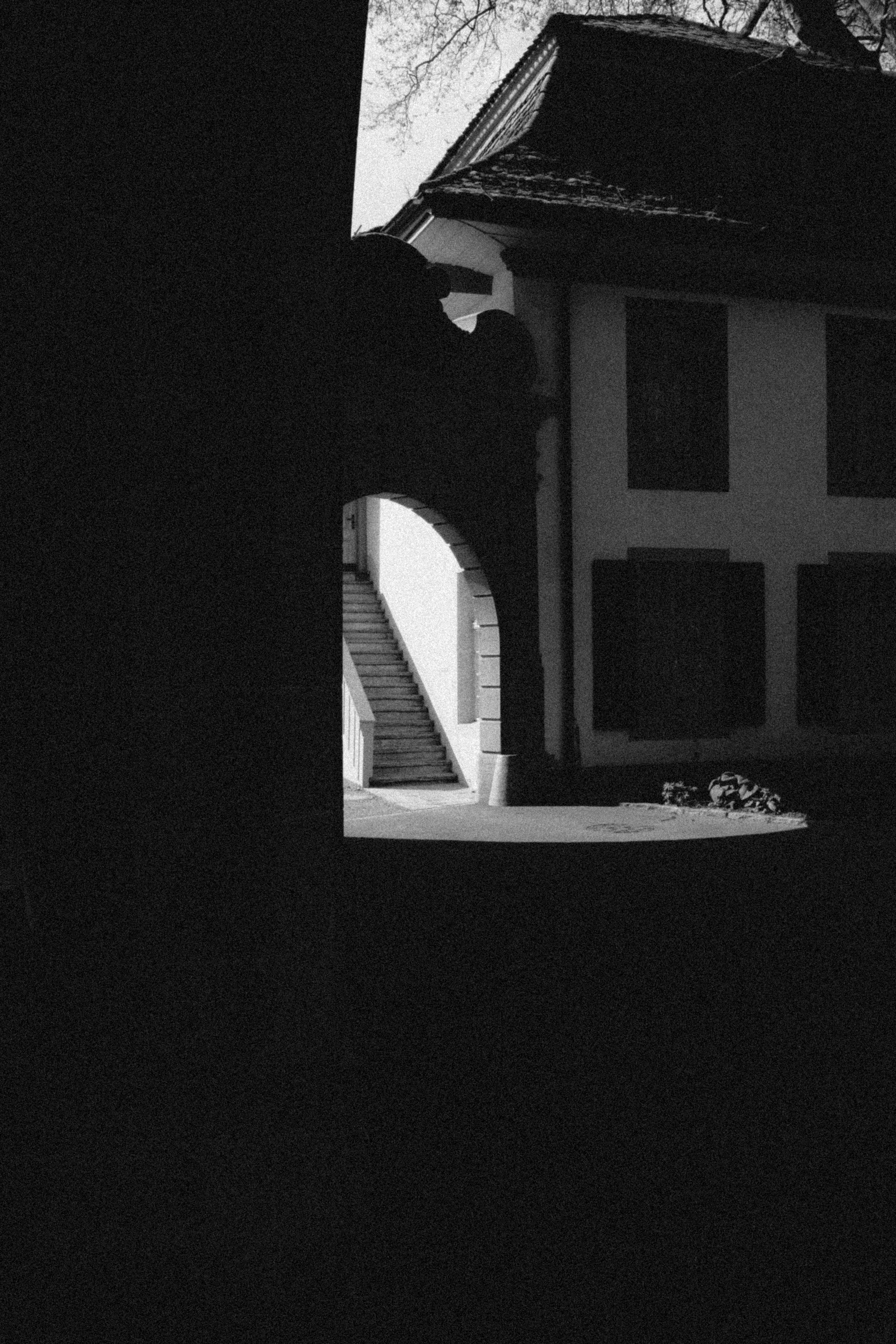 Photo by alexispresa