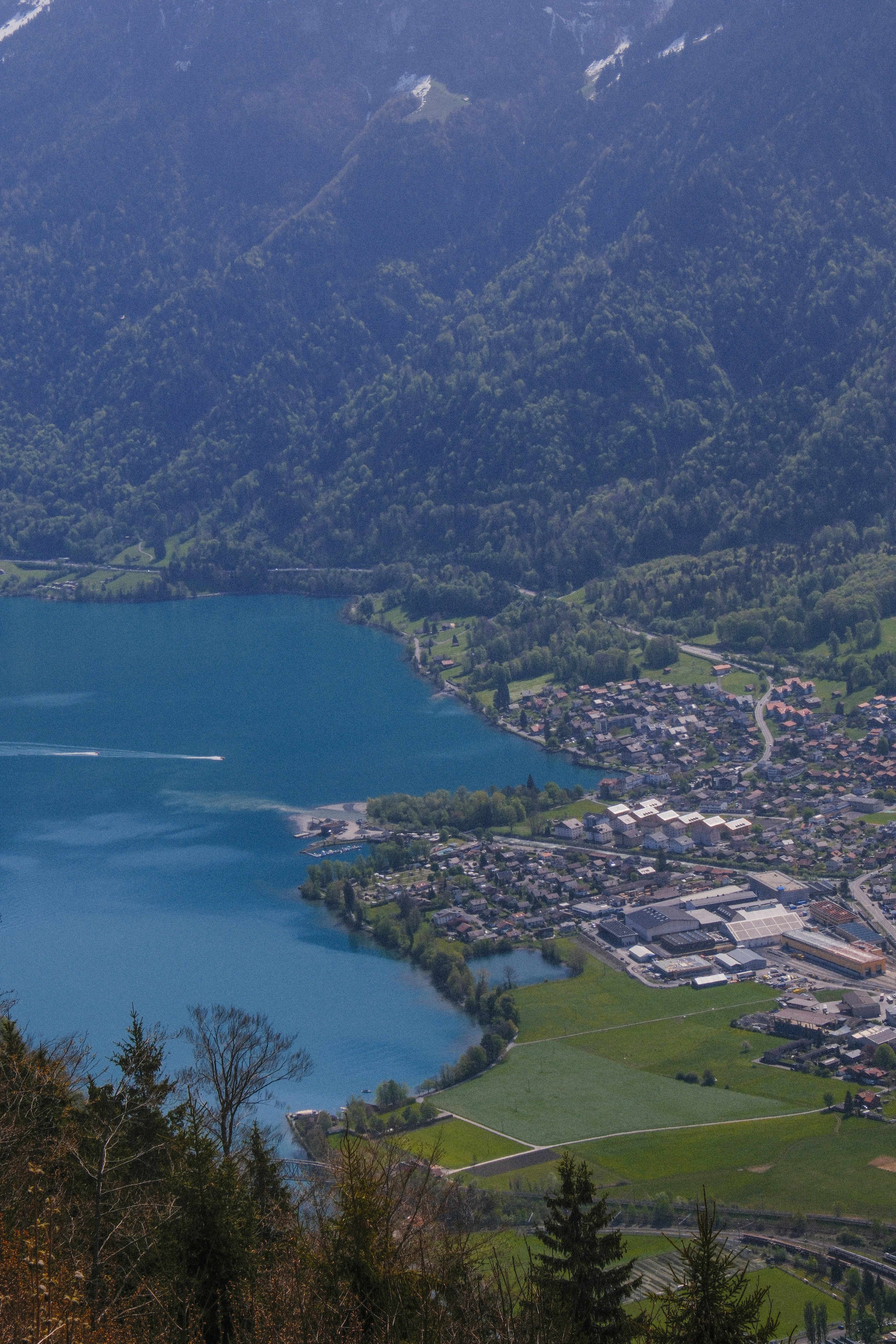 Photo by alexispresa