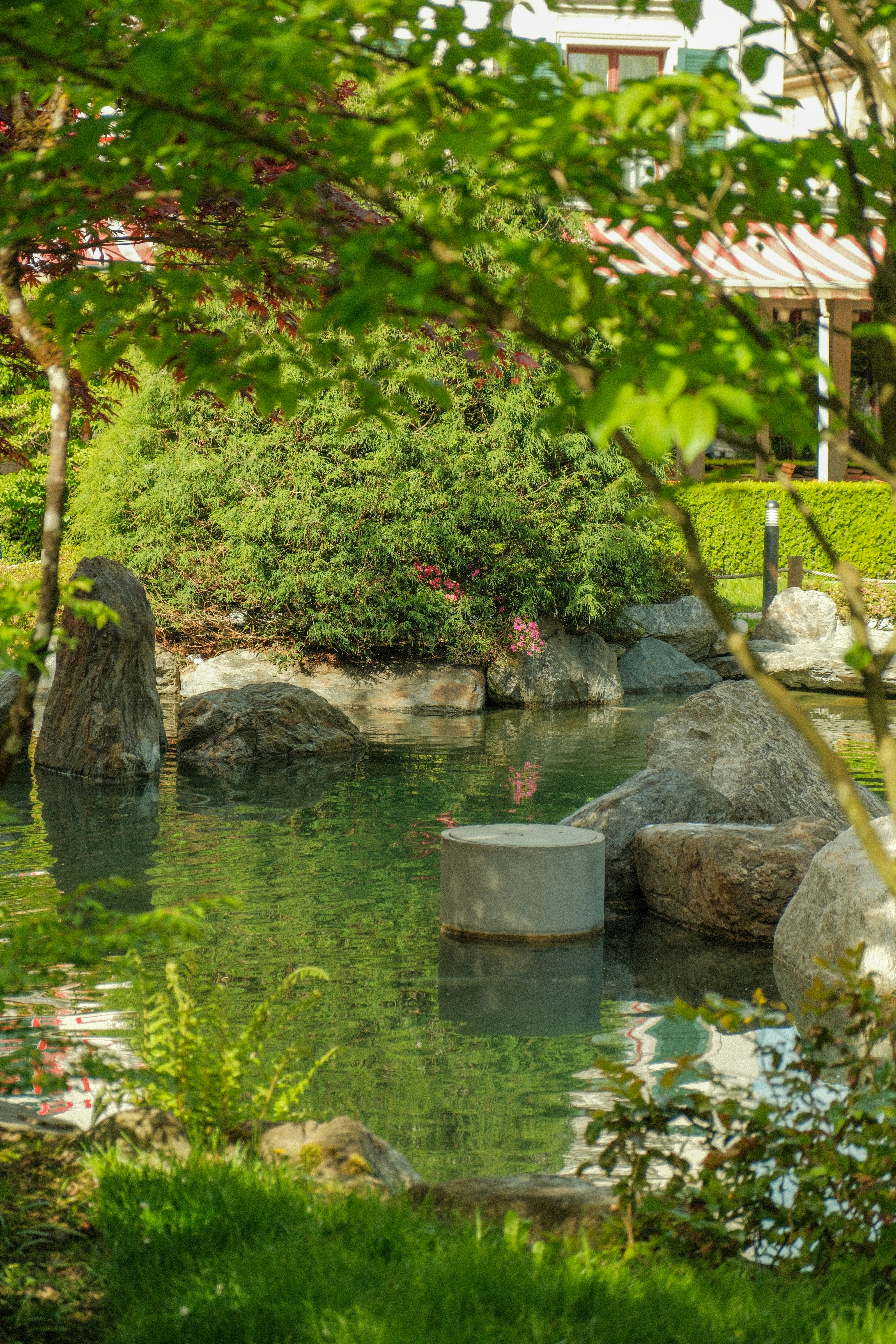 Photo by alexispresa