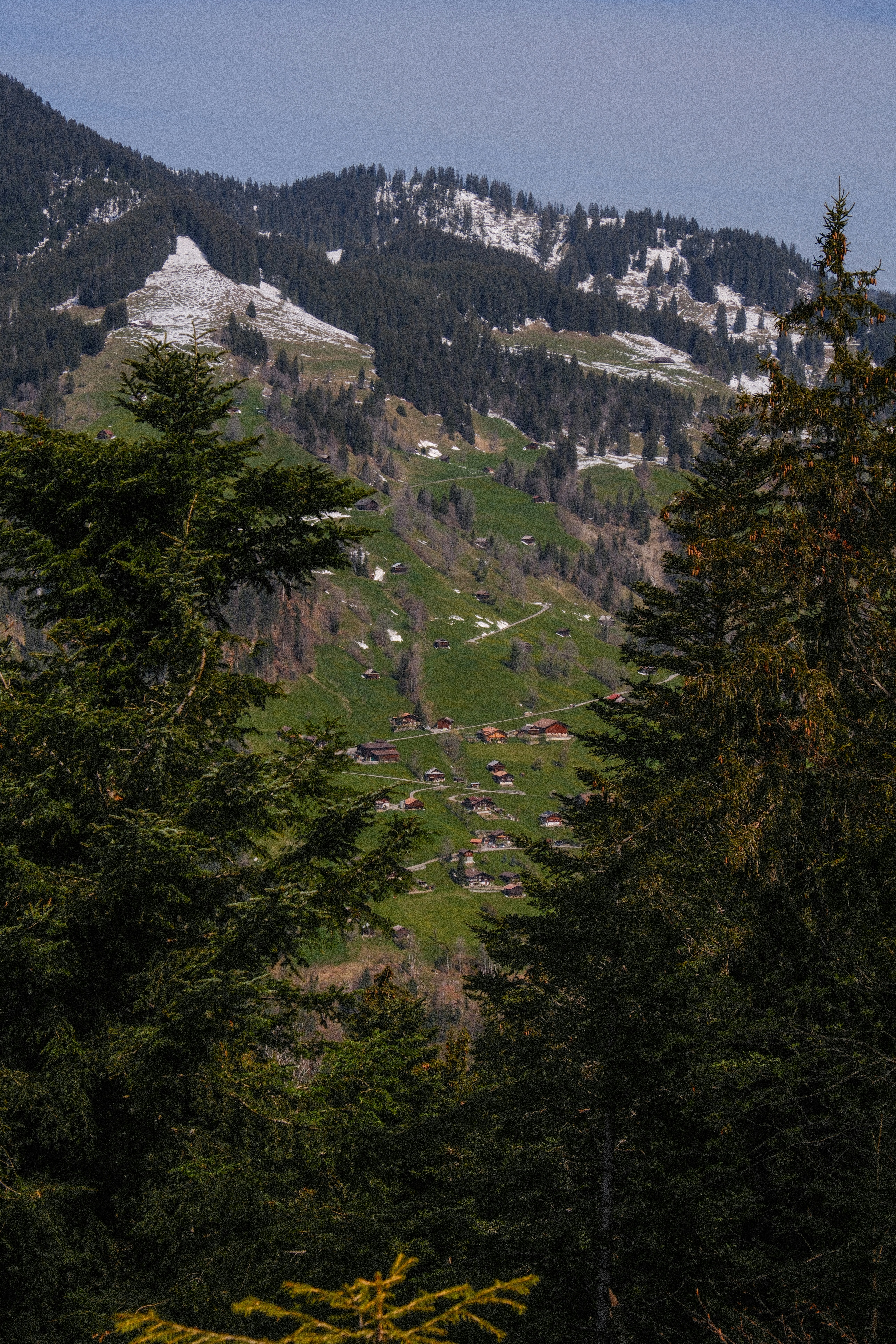 Photo by alexispresa