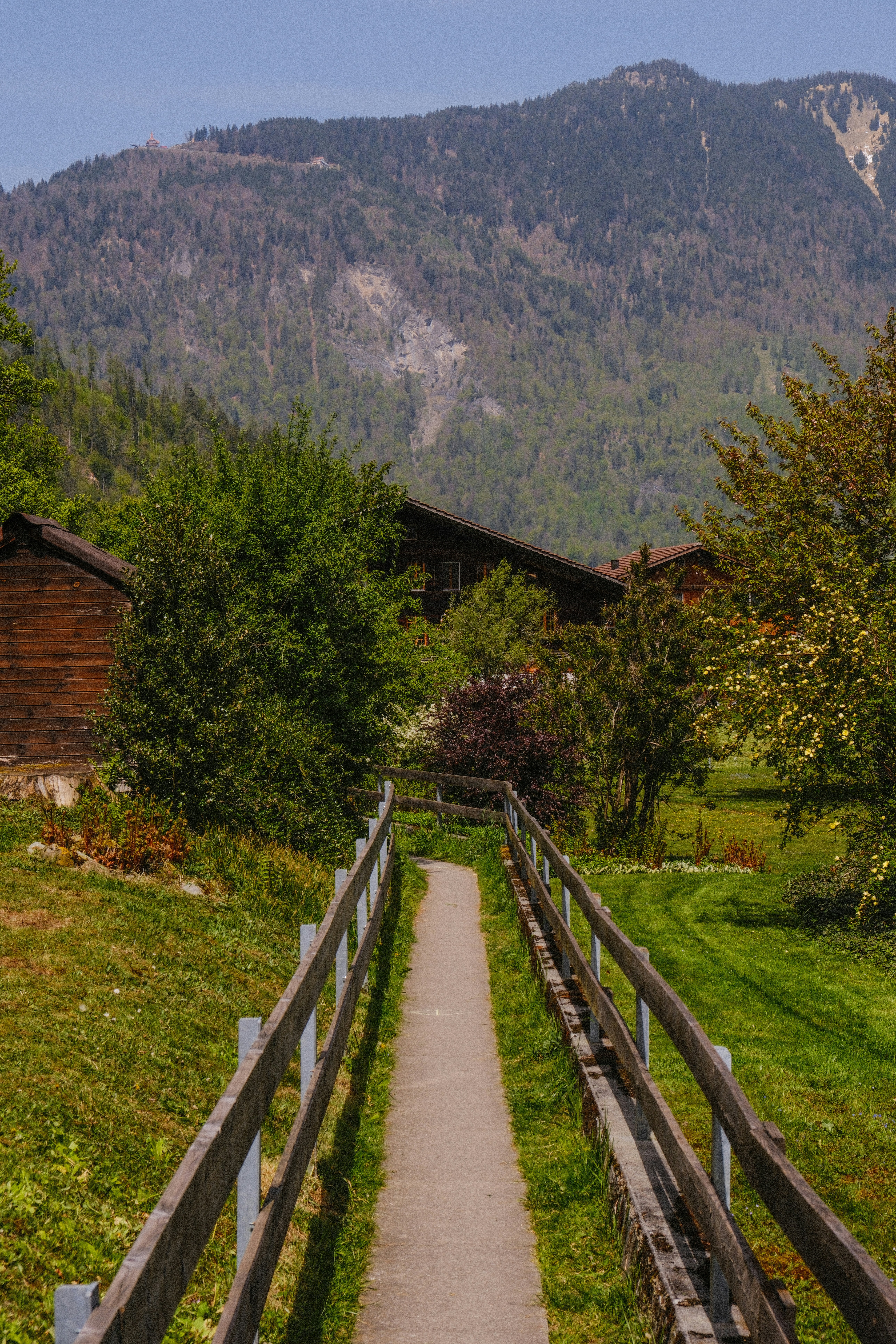 Photo by alexispresa