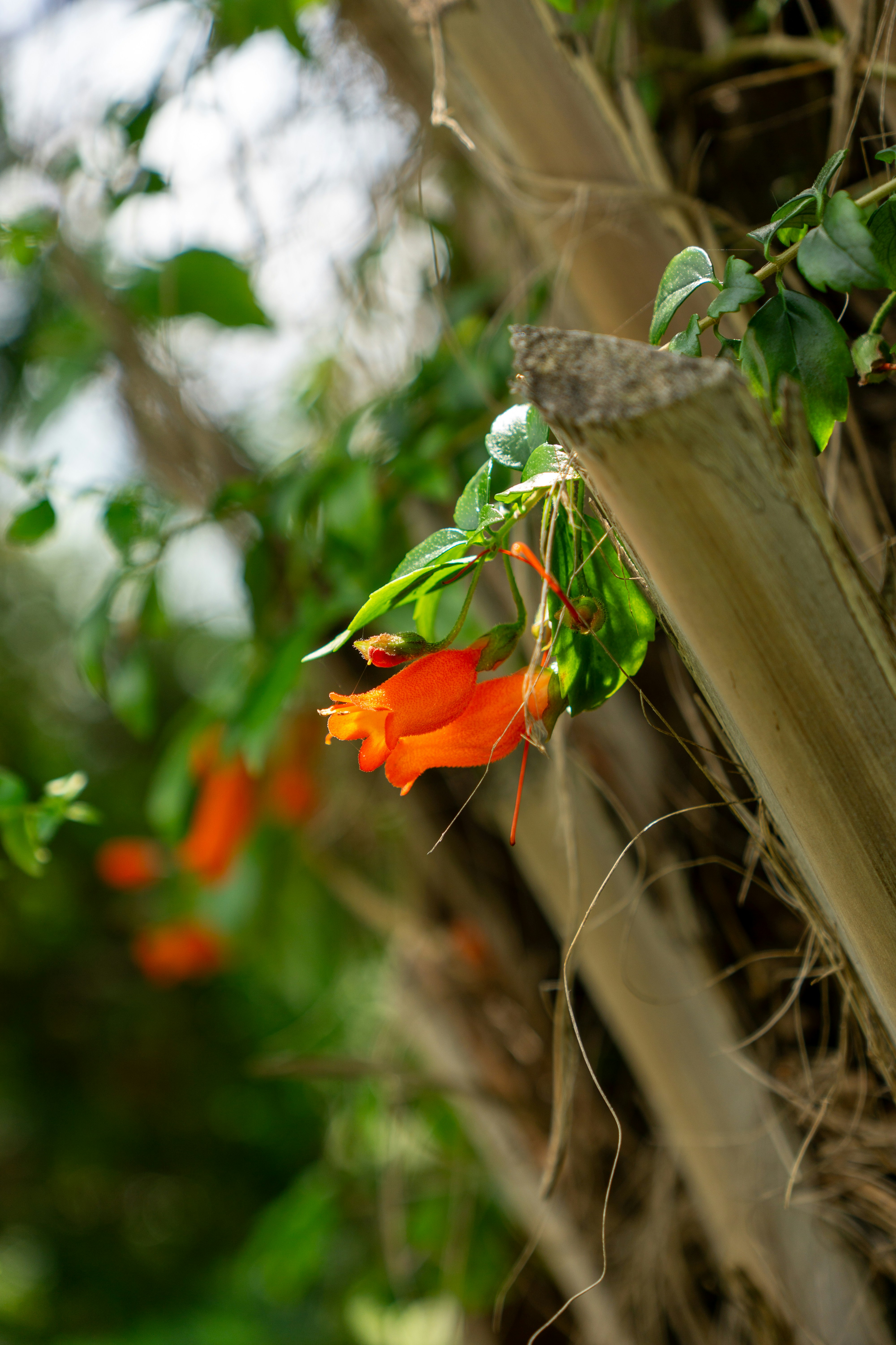 Photo by robertschwarz