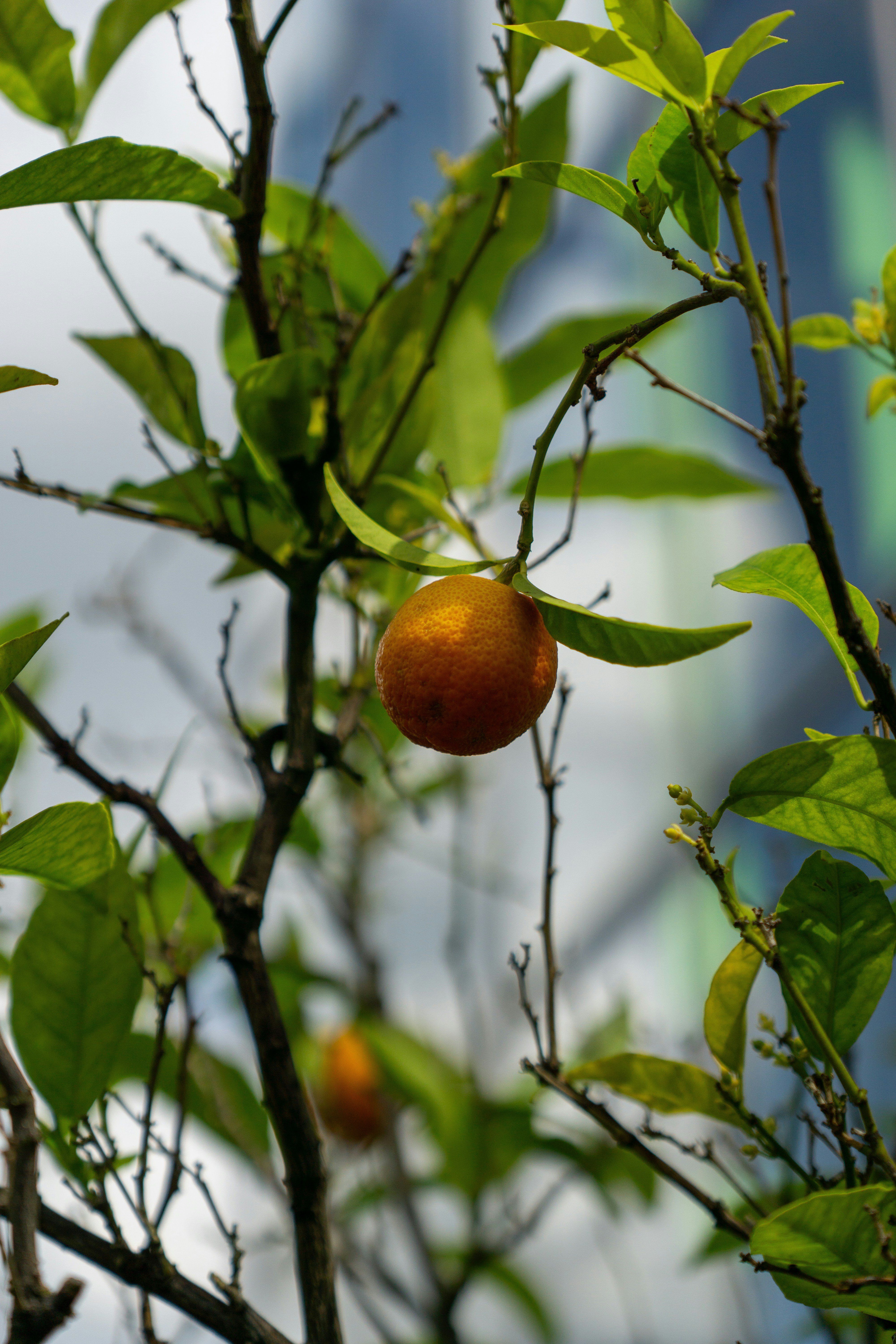 Photo by robertschwarz