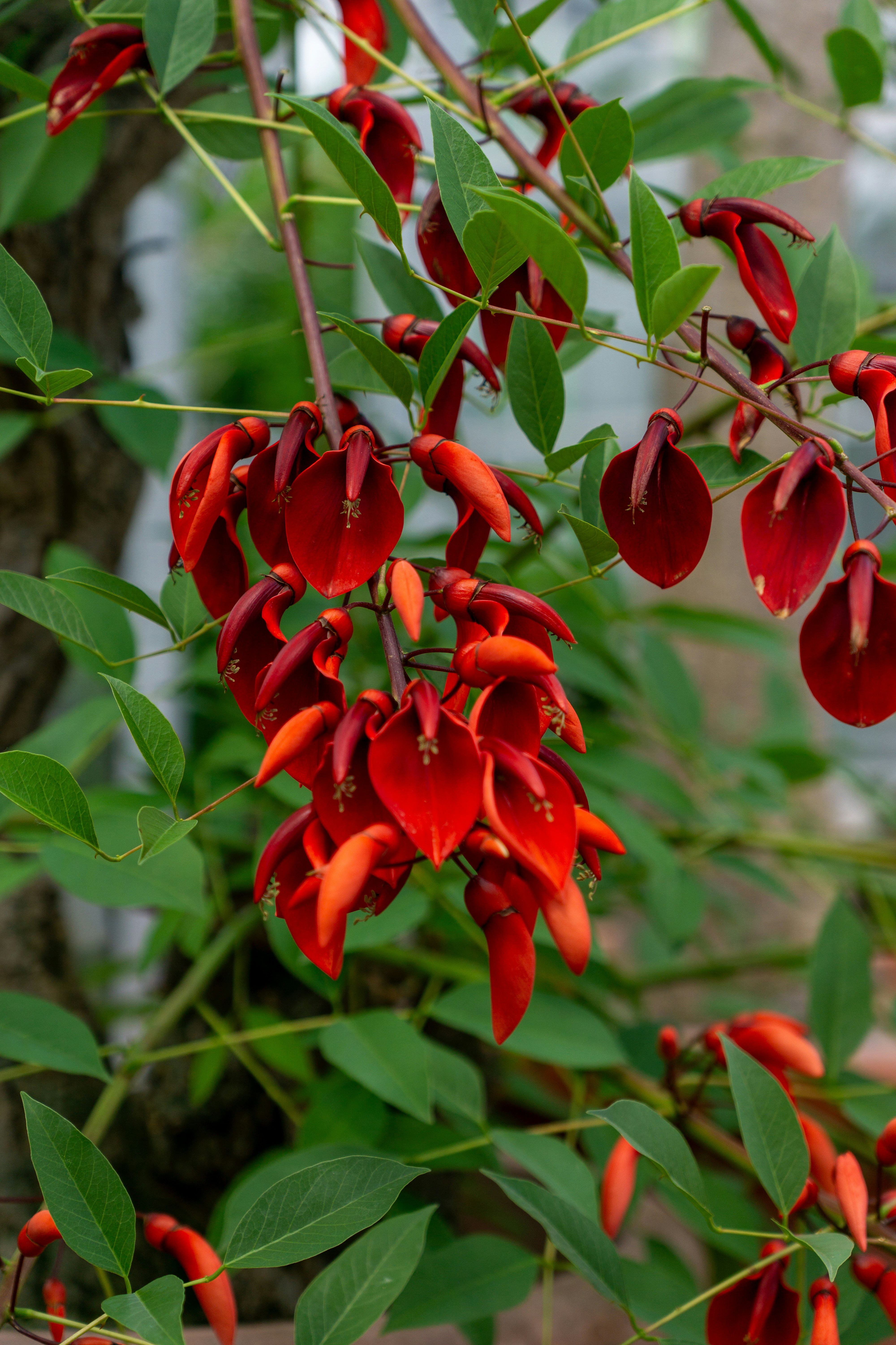 Photo by robertschwarz