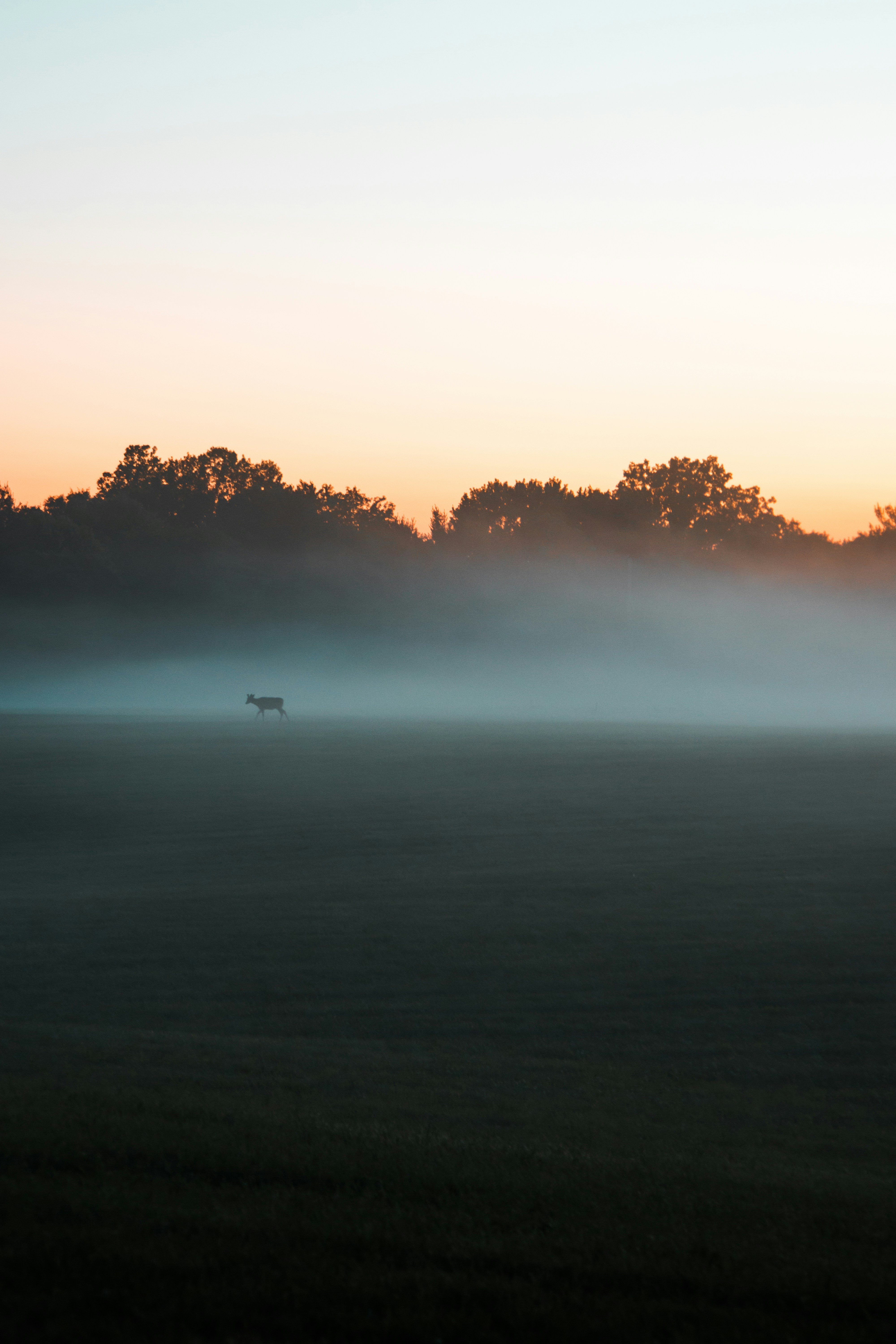 Photo by luke_schobert