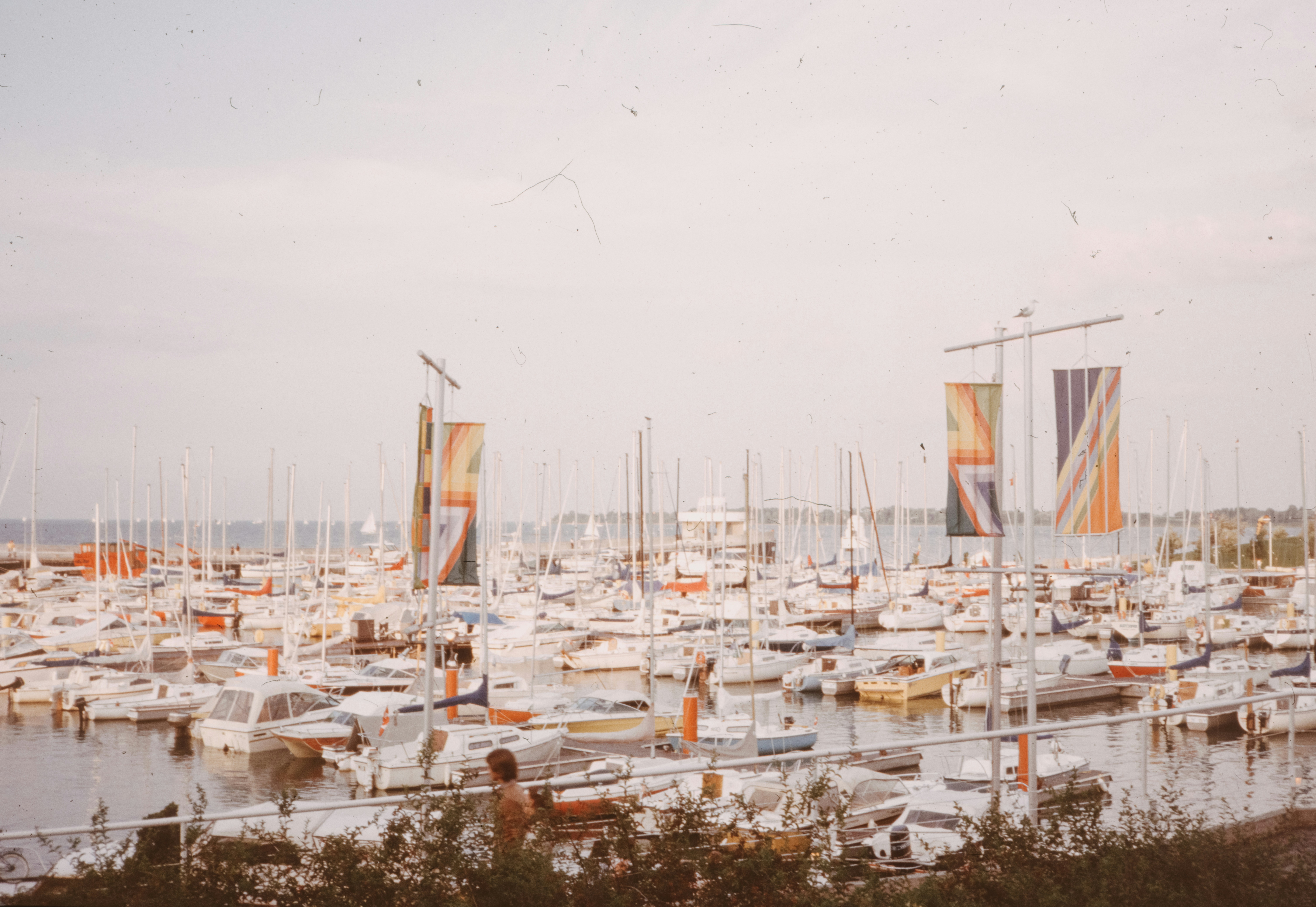 Photo by anniespratt