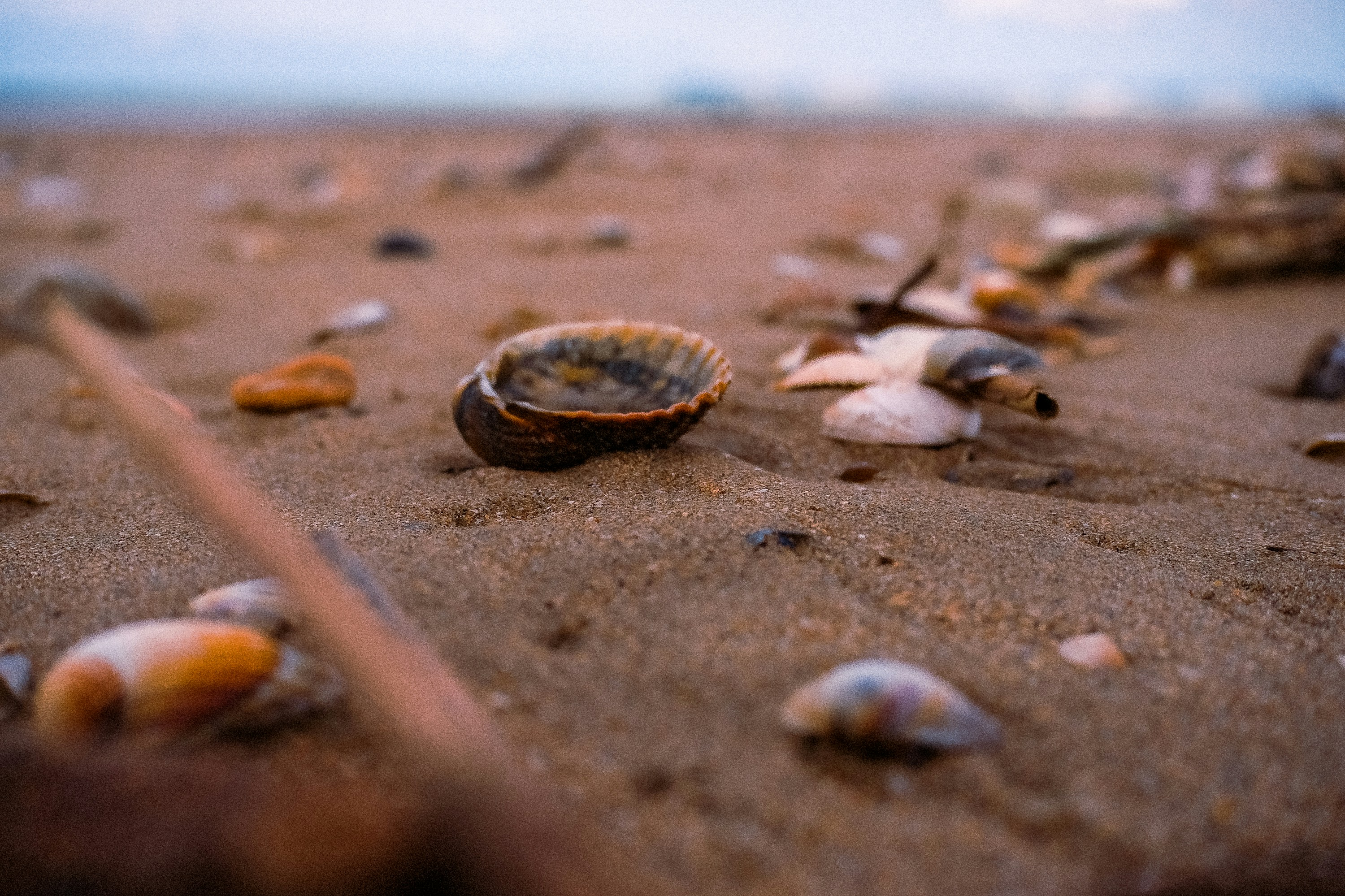 Photo by daria_proskuriakova