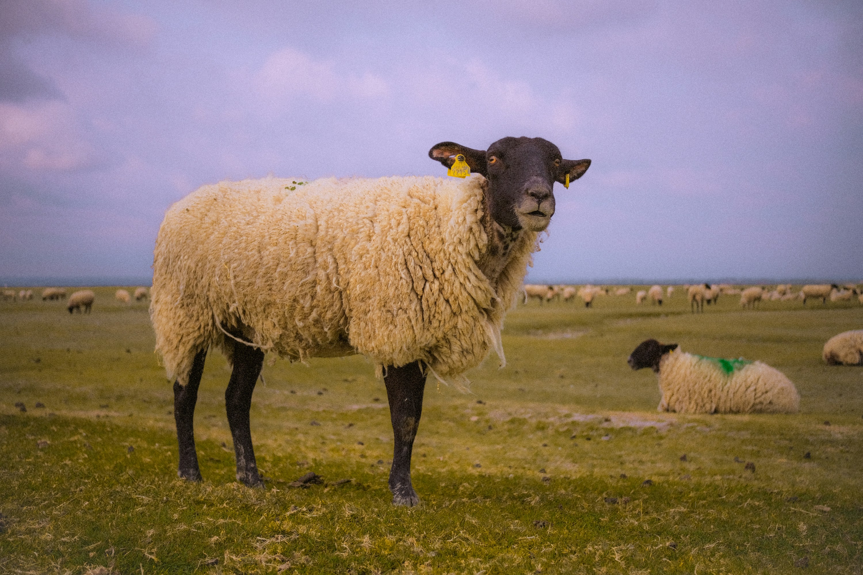 Photo by daria_proskuriakova