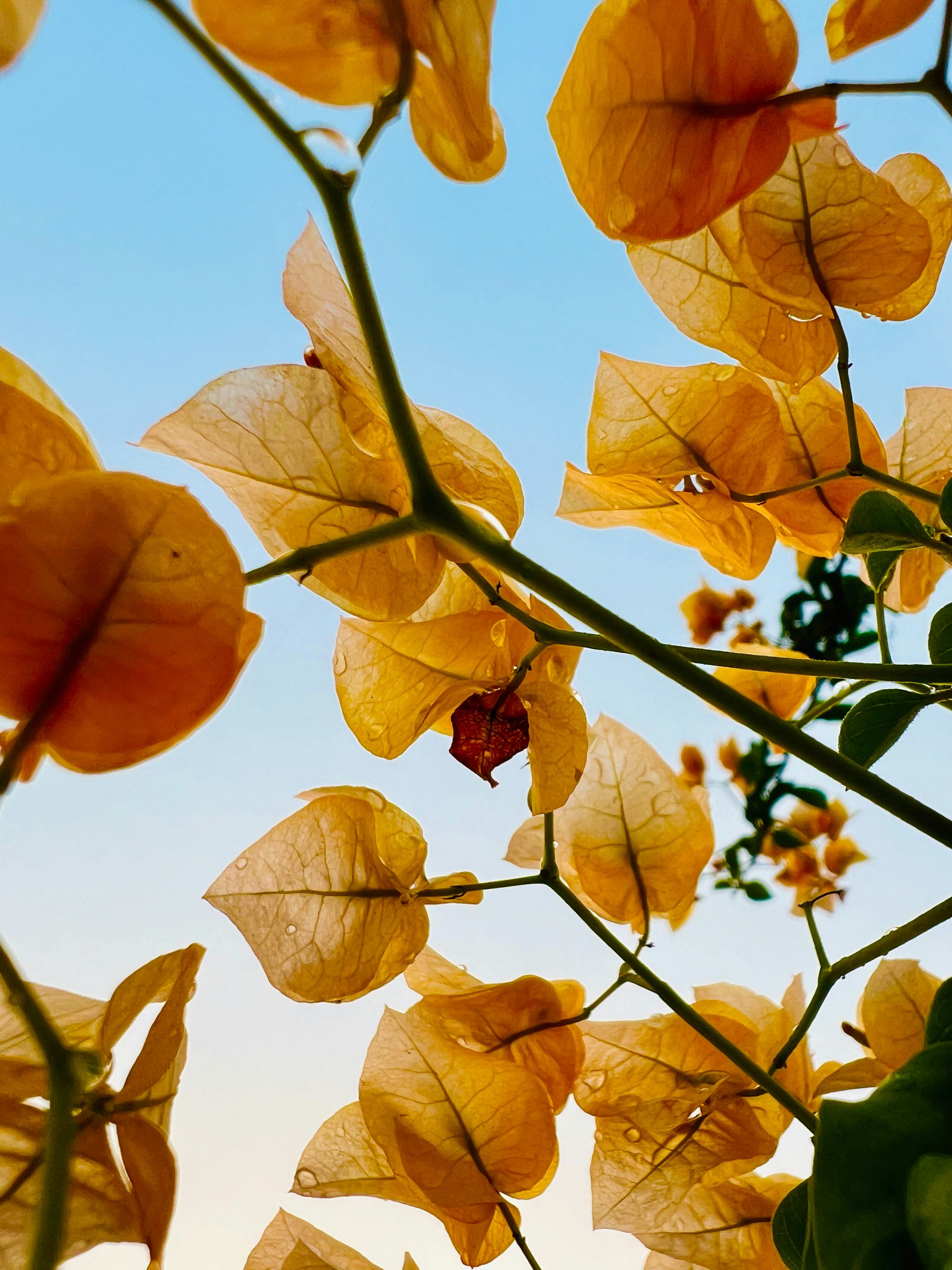 Photo by spacetime_bender