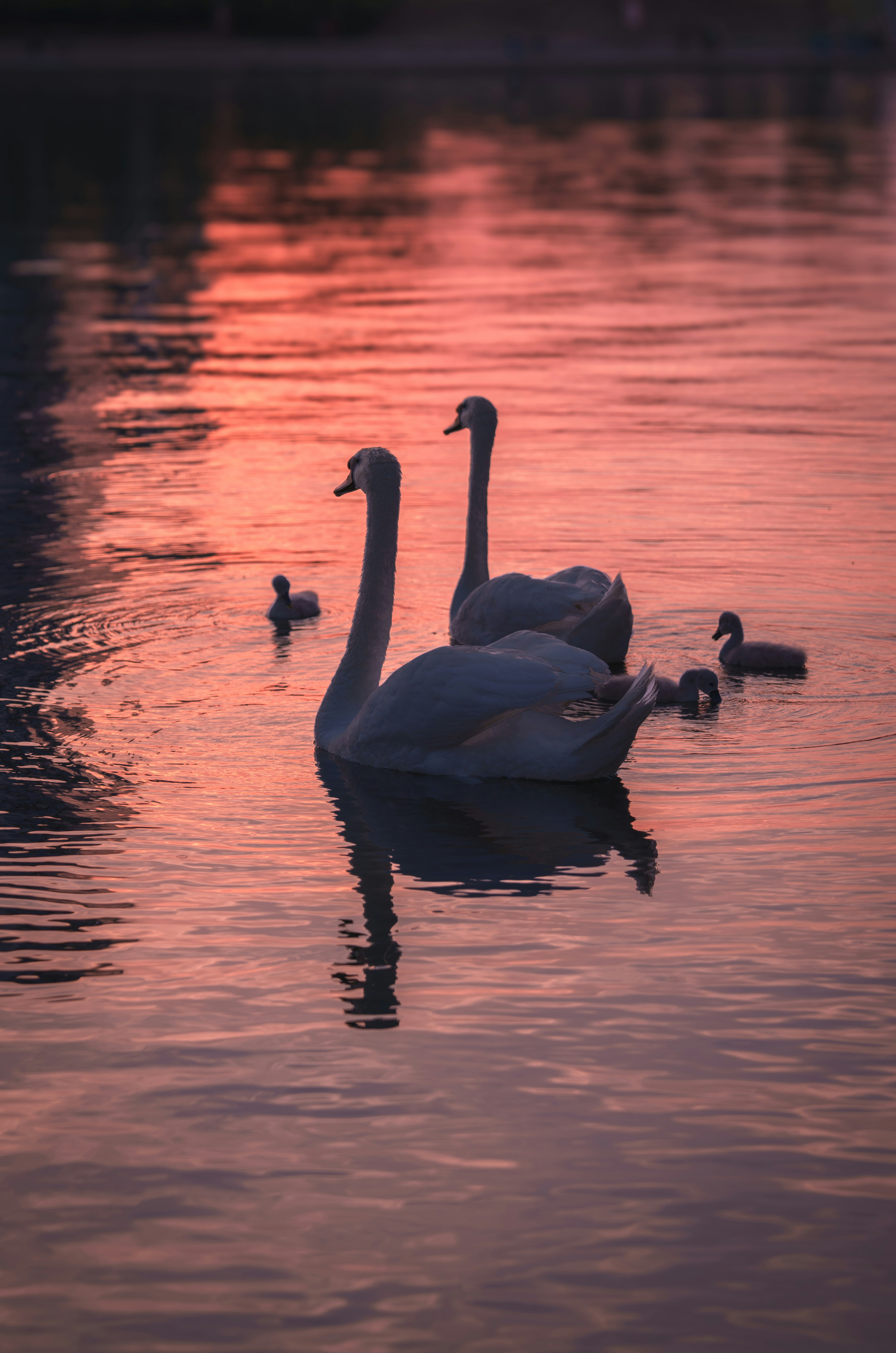 A peaceful family enjoying time together.
