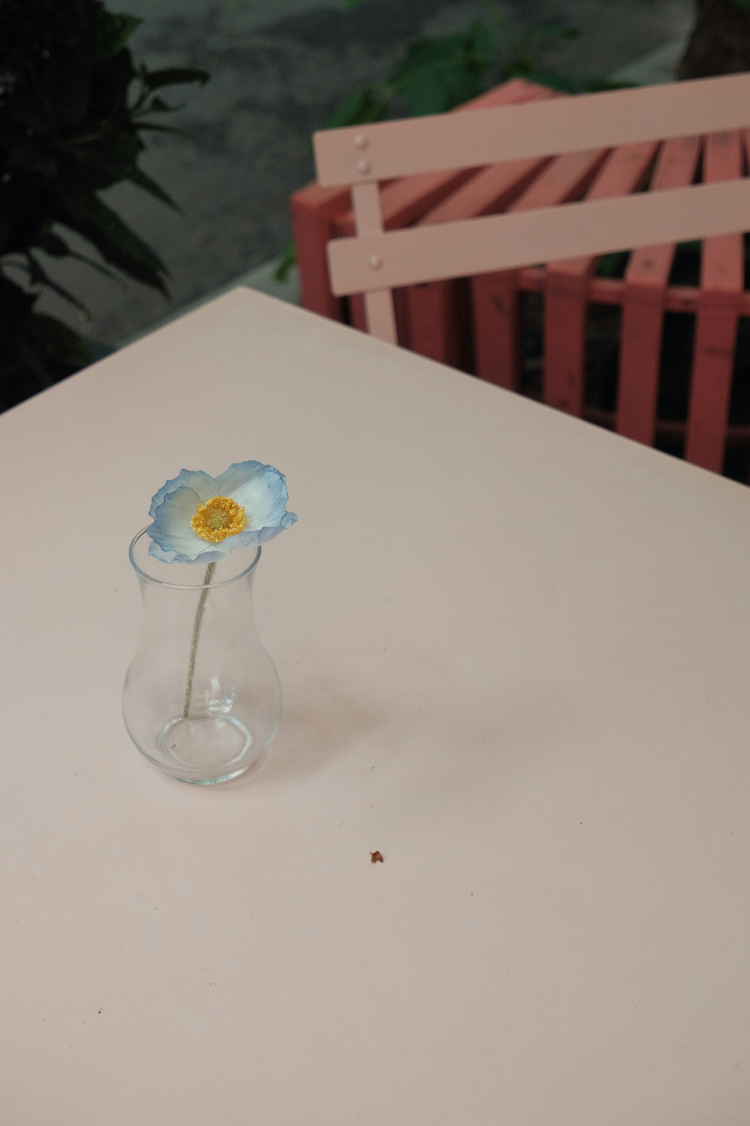 a small glass vase with a blue flower in it